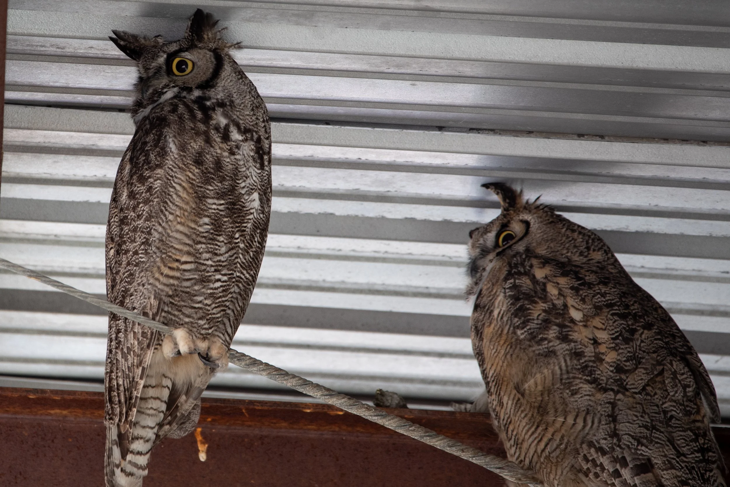 Photography By Kayla Calobeer | Haderlie Designs