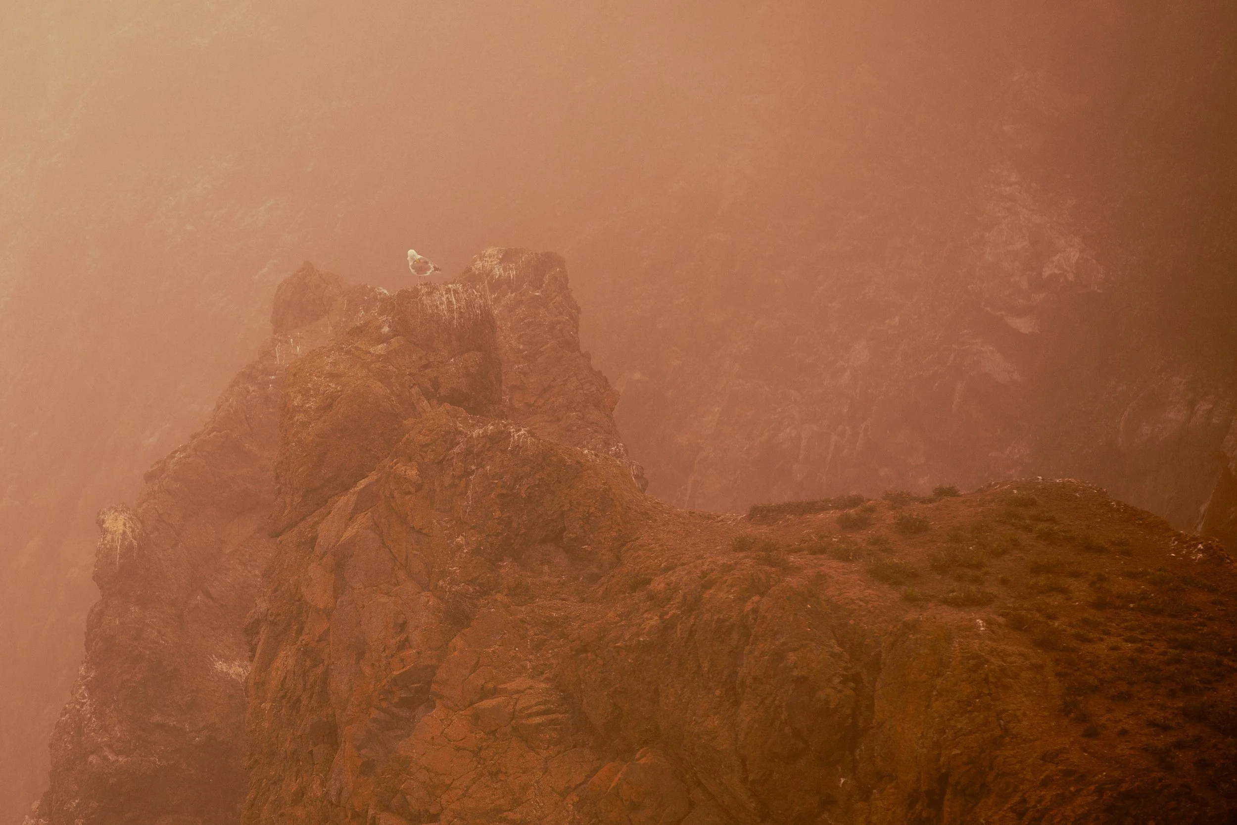 Photography By Kayla Calobeer | Haderlie Designs