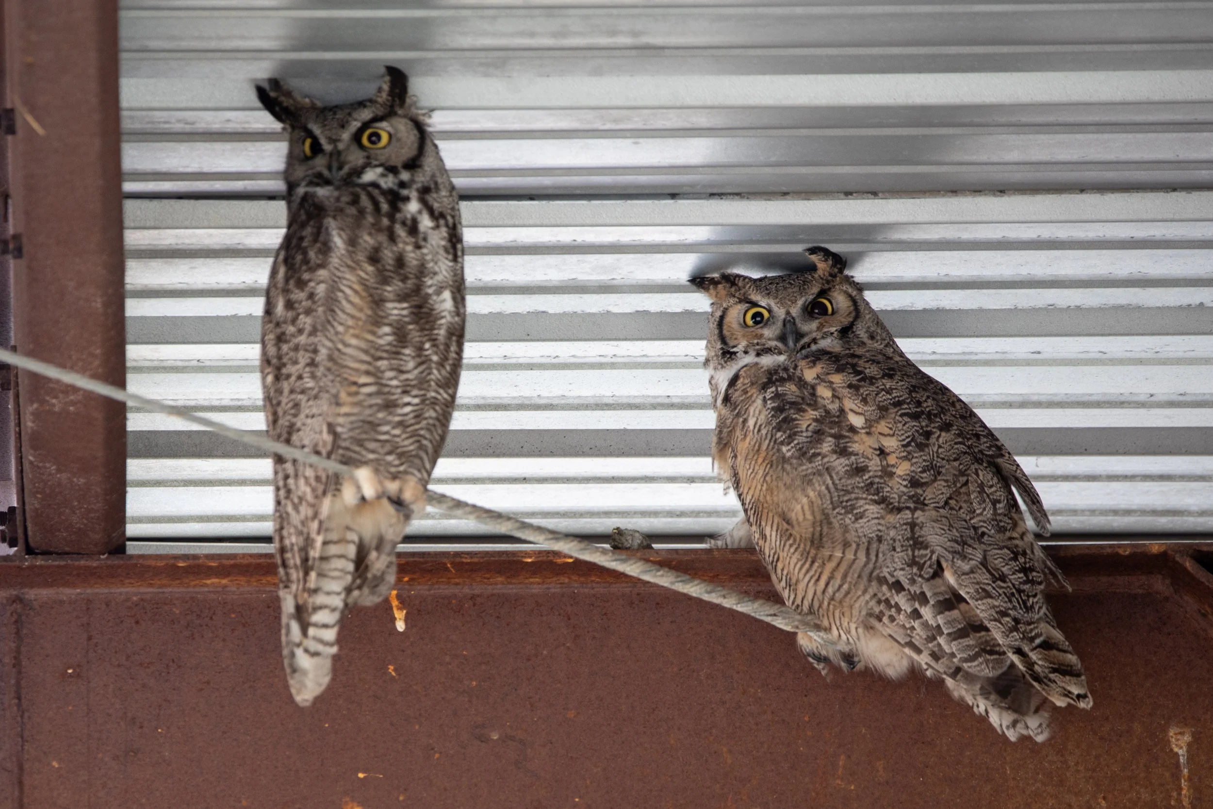 Photography By Kayla Calobeer | Haderlie Designs