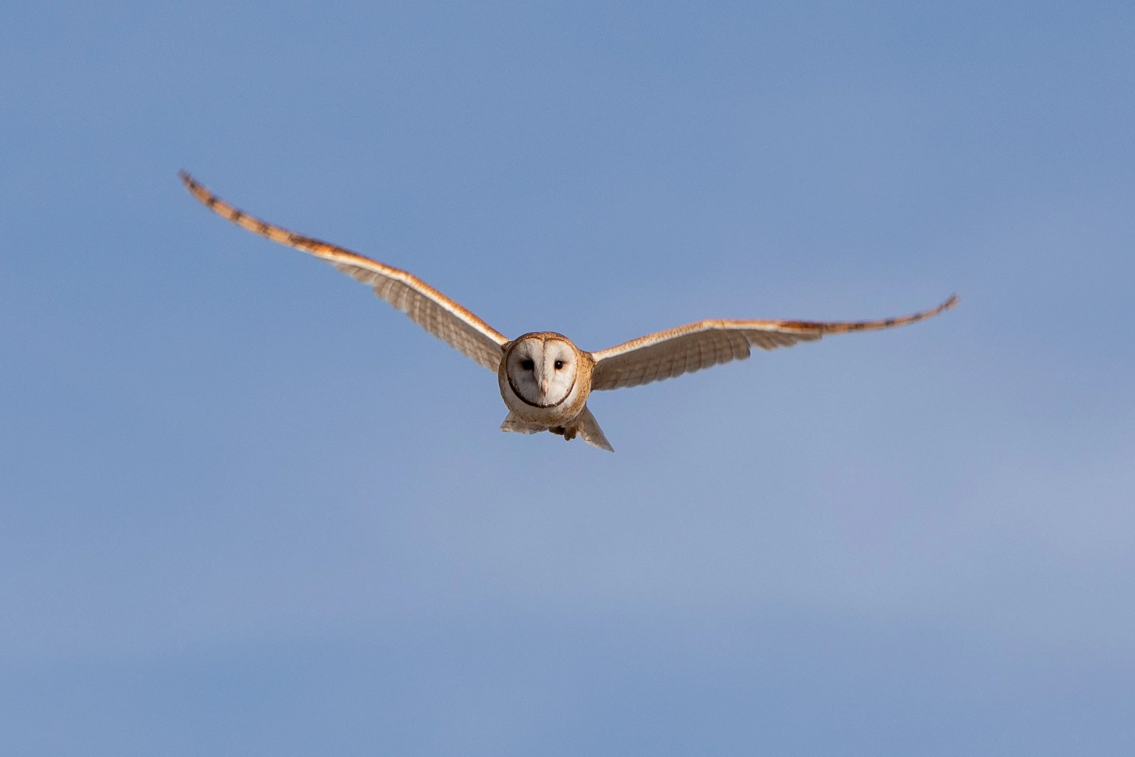 Photography By Kayla Calobeer | Haderlie Designs