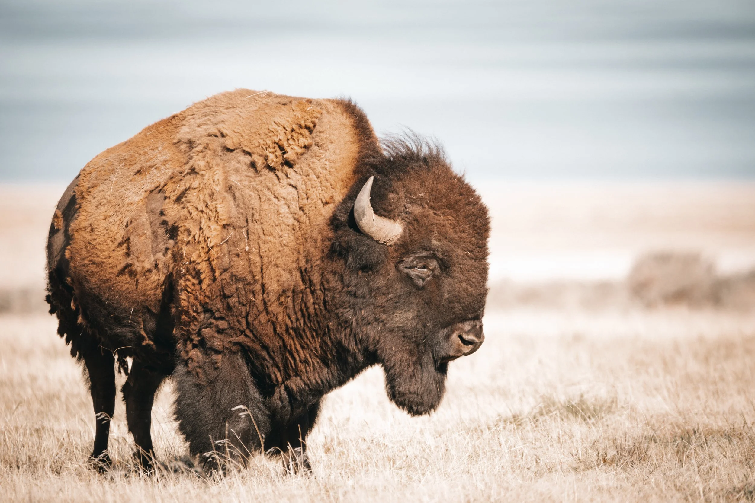 Photography by Haderlie Designs in Utah