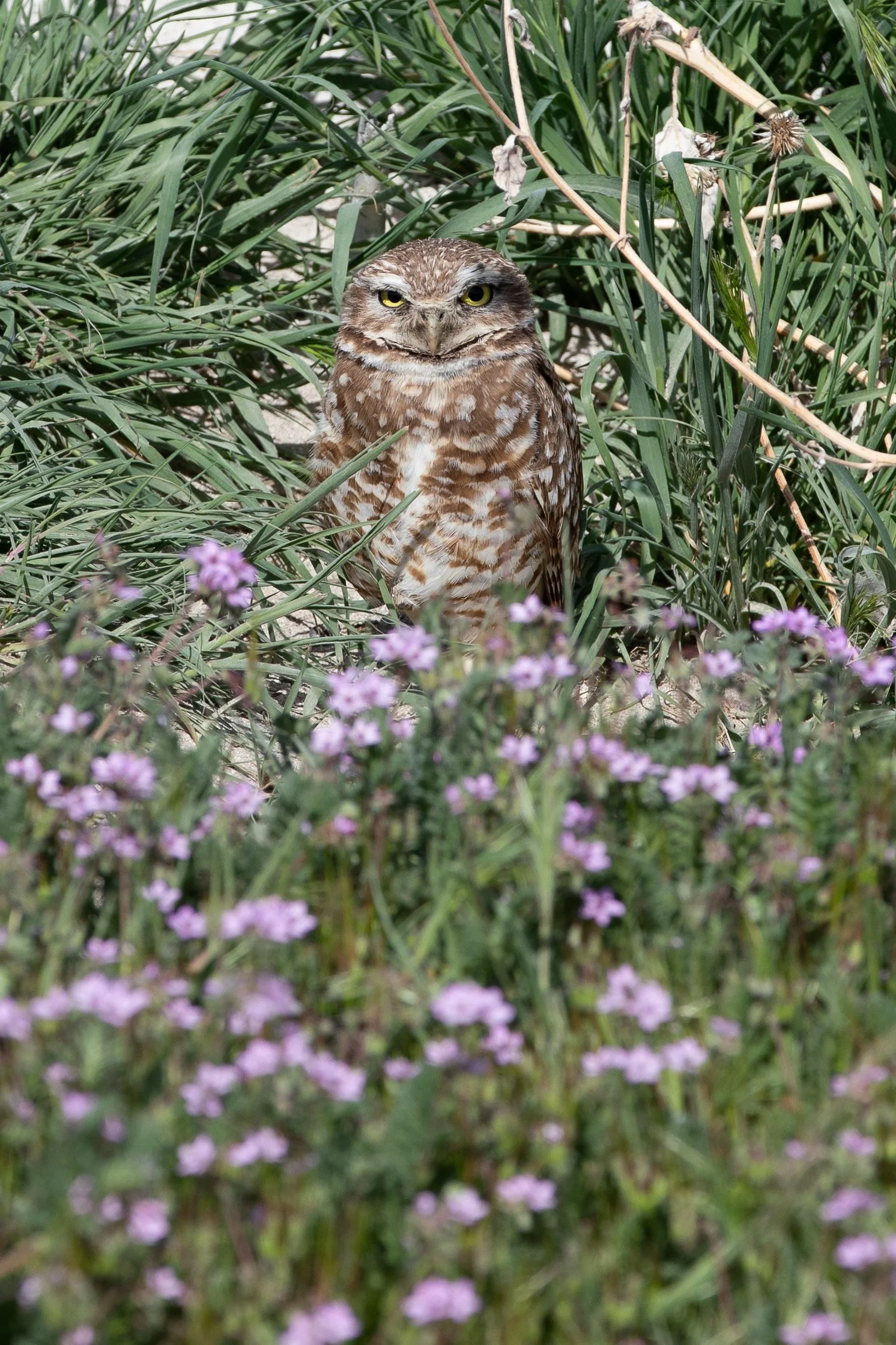 Photography By Kayla Calobeer | Haderlie Designs