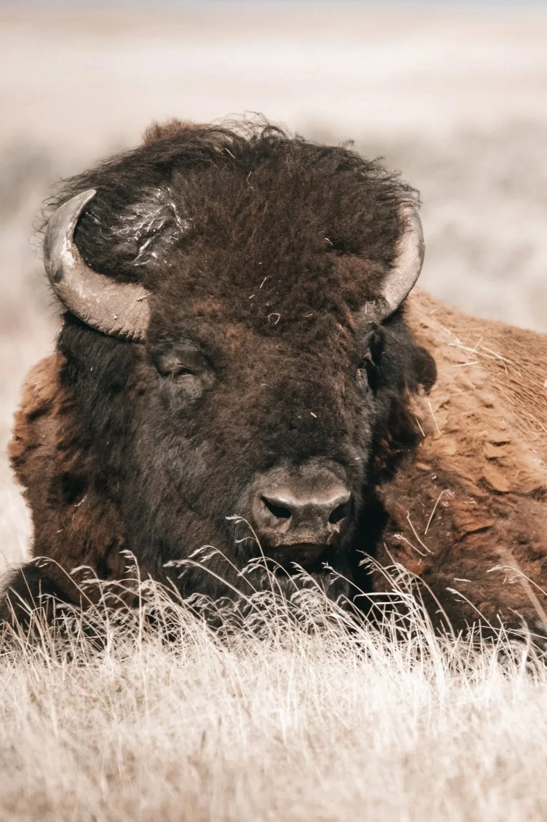 Photography By Haderlie Designs Kayla Calobeer