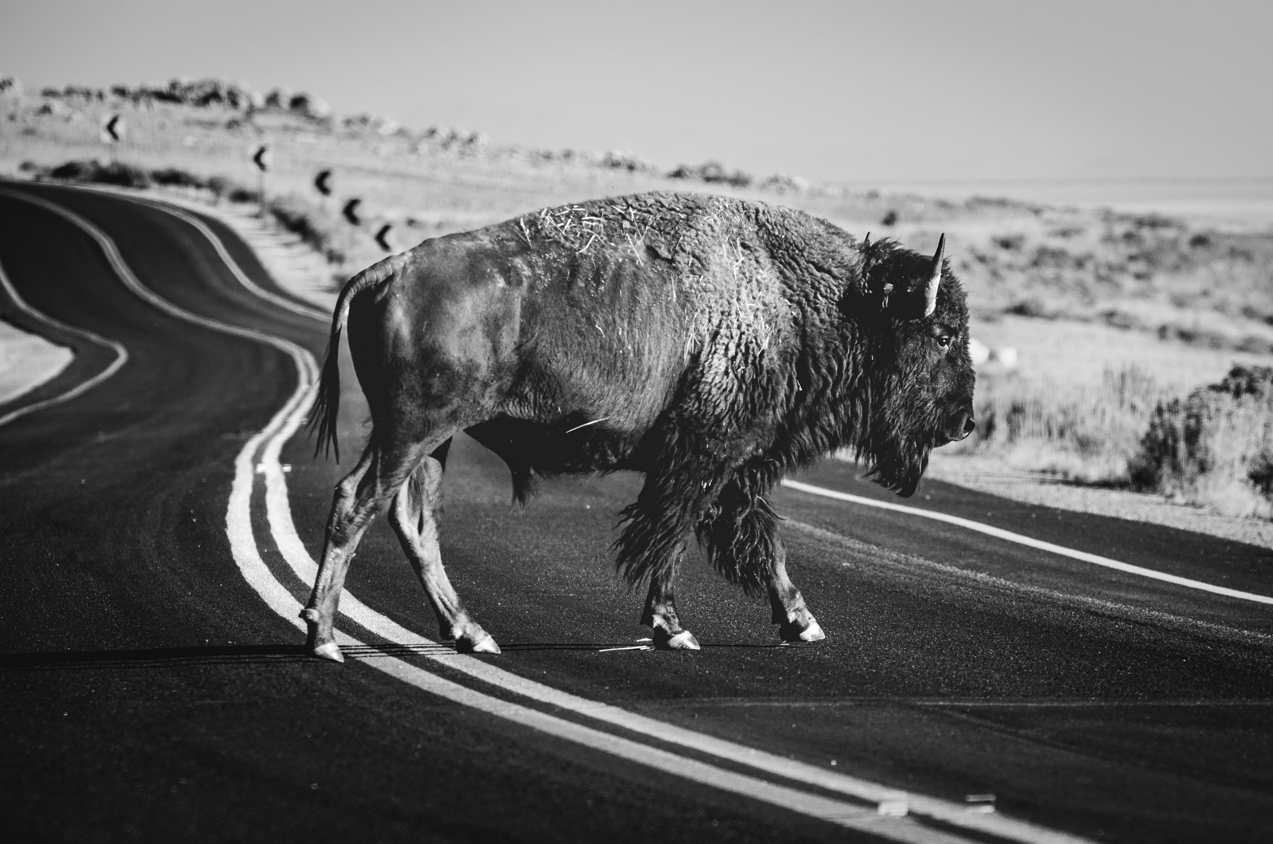Photography By Haderlie Designs | Kayla Calobeer in the Wasatch Front, Northern Utah