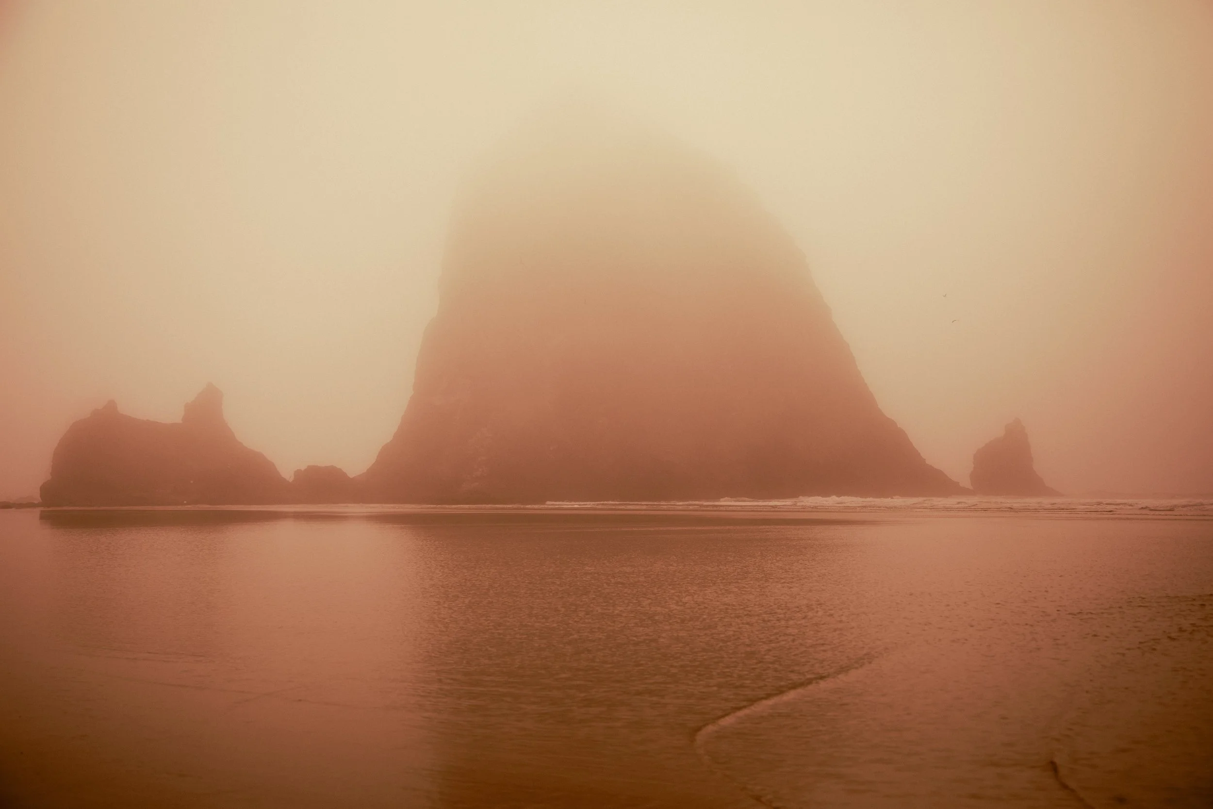 Photography By Kayla Calobeer | Haderlie Designs