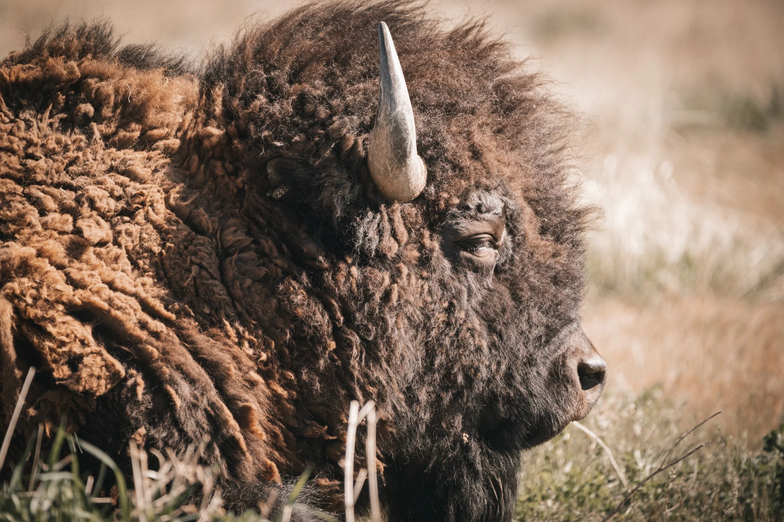 Photography By Kayla Calobeer | Haderlie Designs