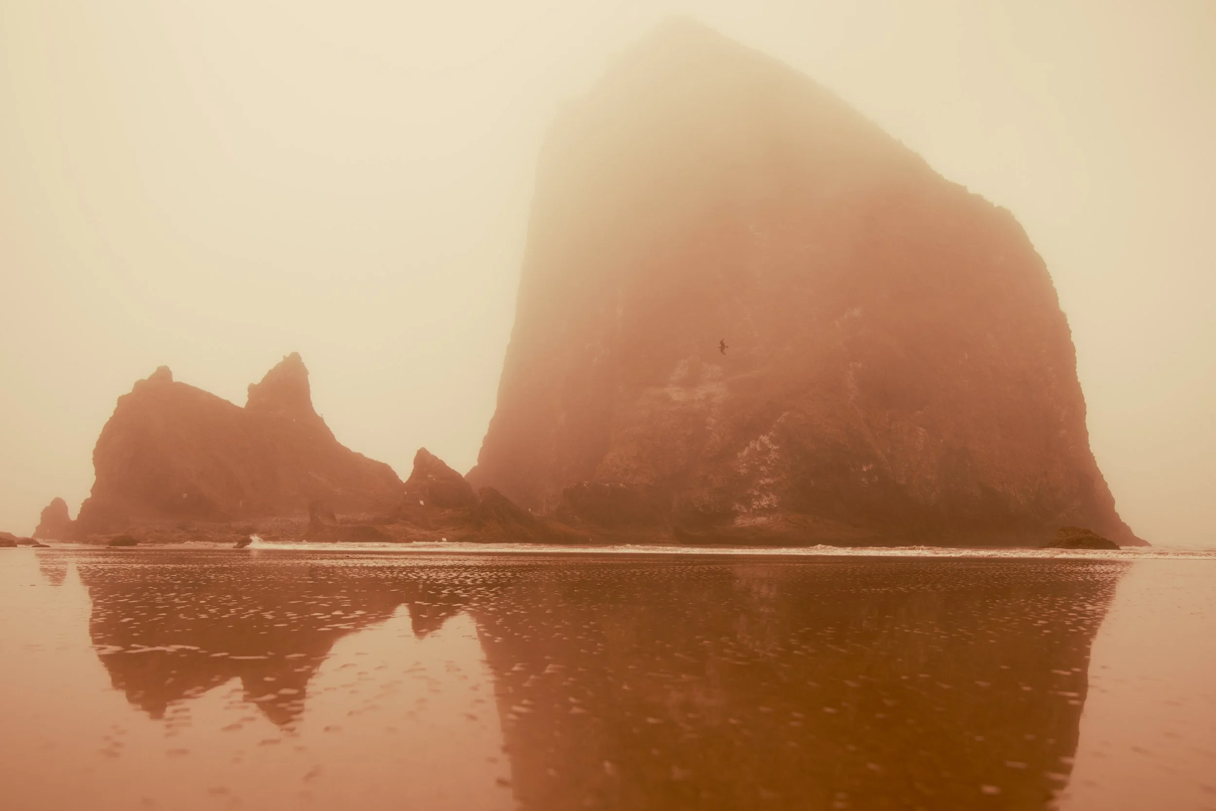 Photography By Kayla Calobeer | Haderlie Designs