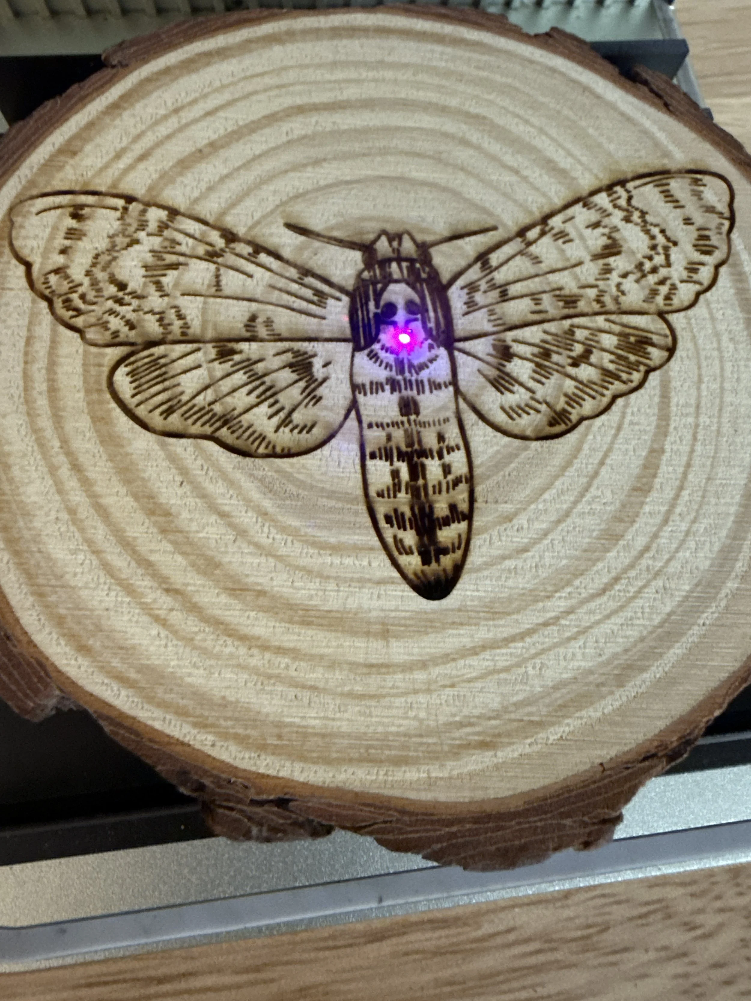 Laser Engraved Wooden Coaster by Haderlie Designs
