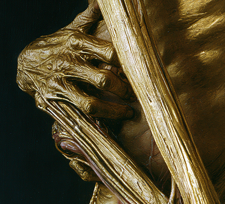 23FACAFA-8CE6-405B-8FC5-811D088BCB4E.png