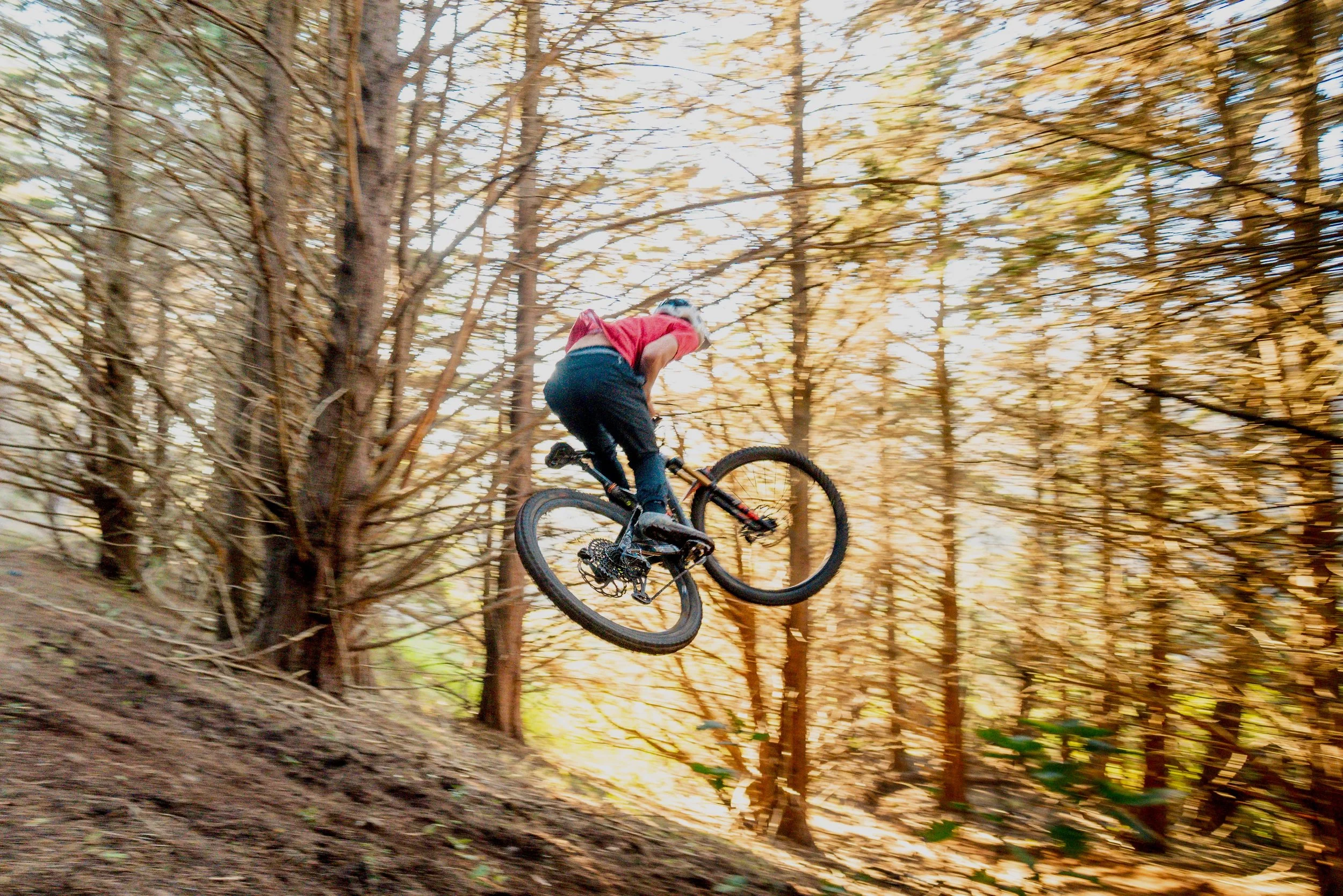 A mountain biker wearing a red shirt and dark pants jumping off a dirt trail in a forest with tall trees and golden sunlight.