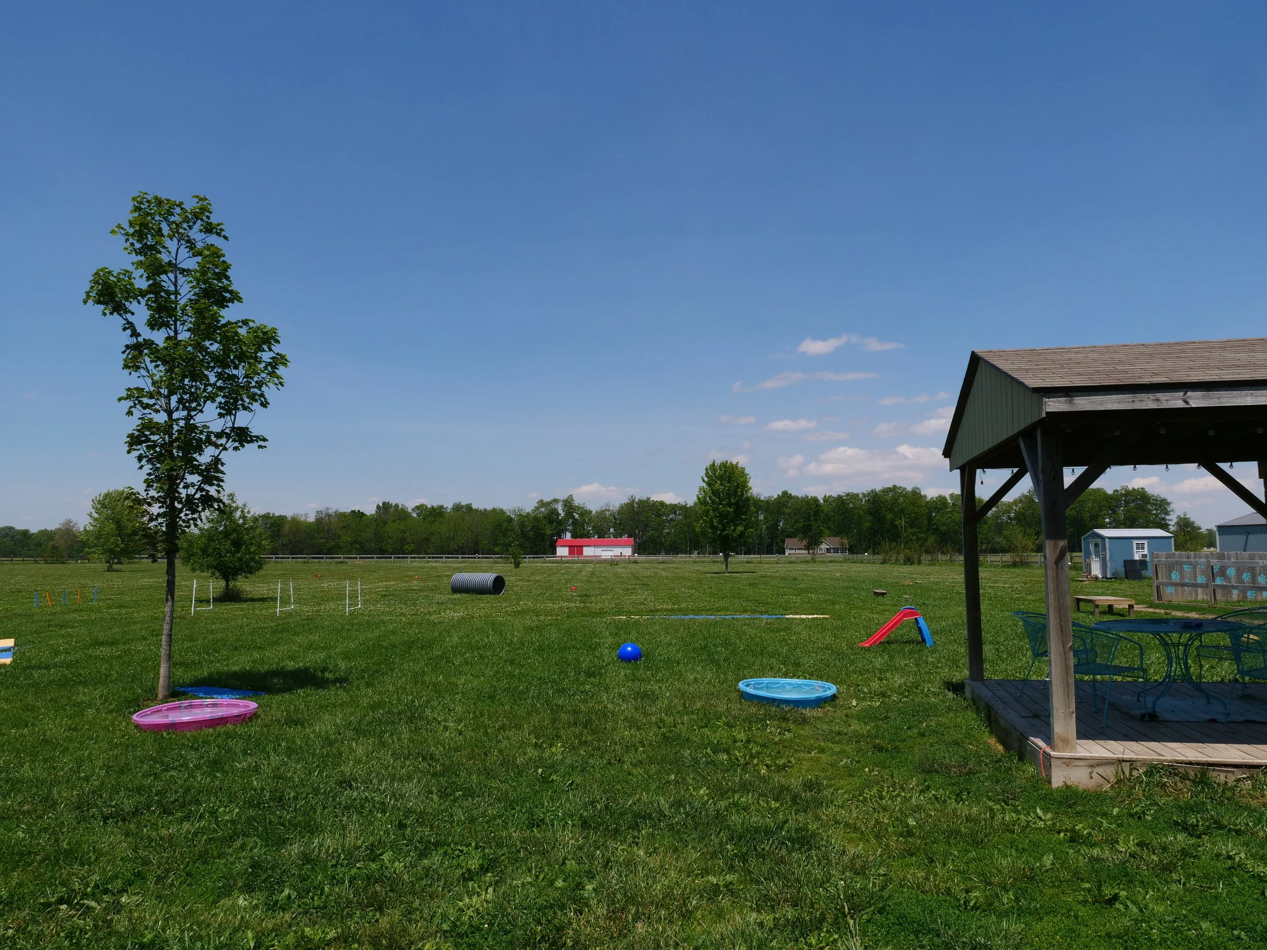 A wide view of the HALO K9 dog play area