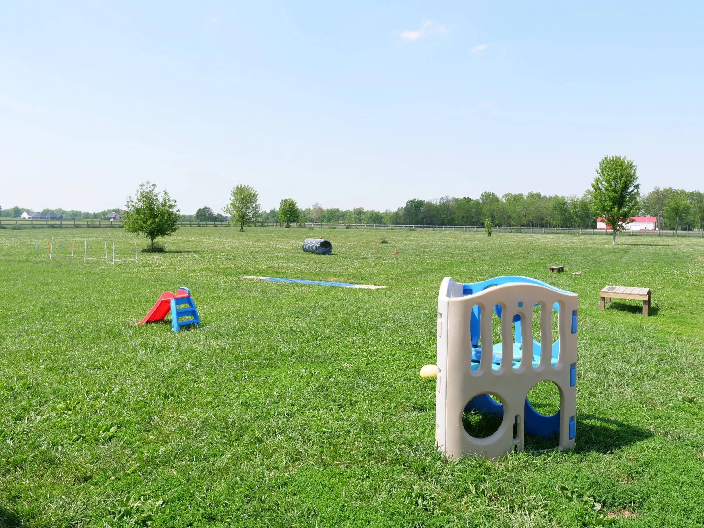 Jungle gym toys and obstacles in the play field at HALO K9 boarding and daycare