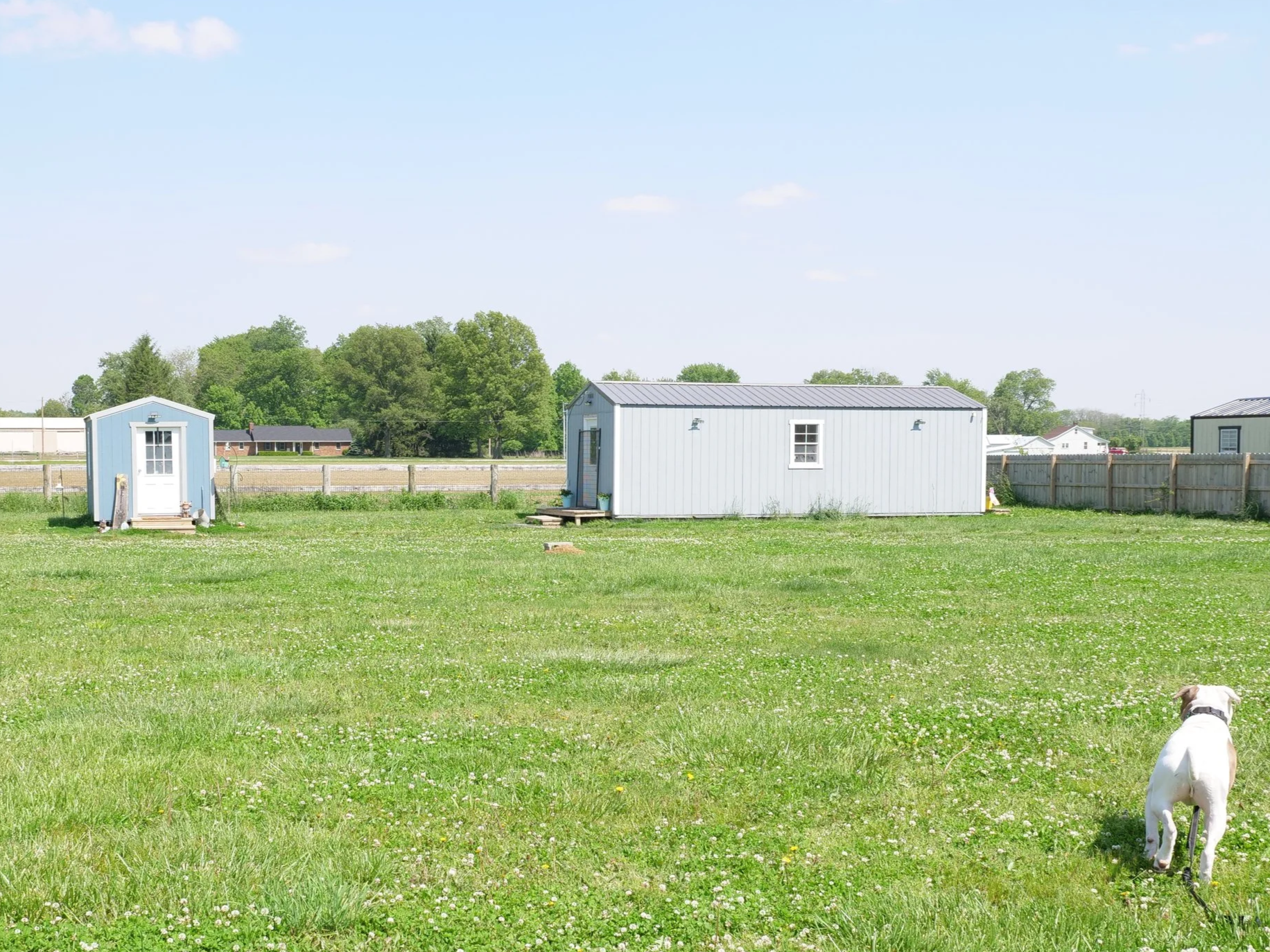 Overnight accommodations at HALO K9 and a dog in the play field.