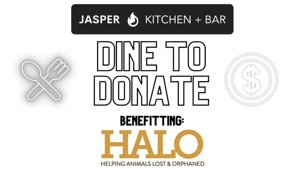Dine & Donate: Jasper Kitchen
