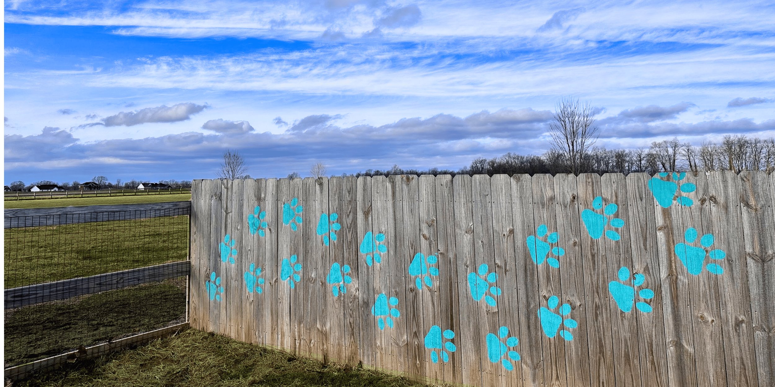 The HALO K9 property showing a fence with pawprints, green grass and blue skies