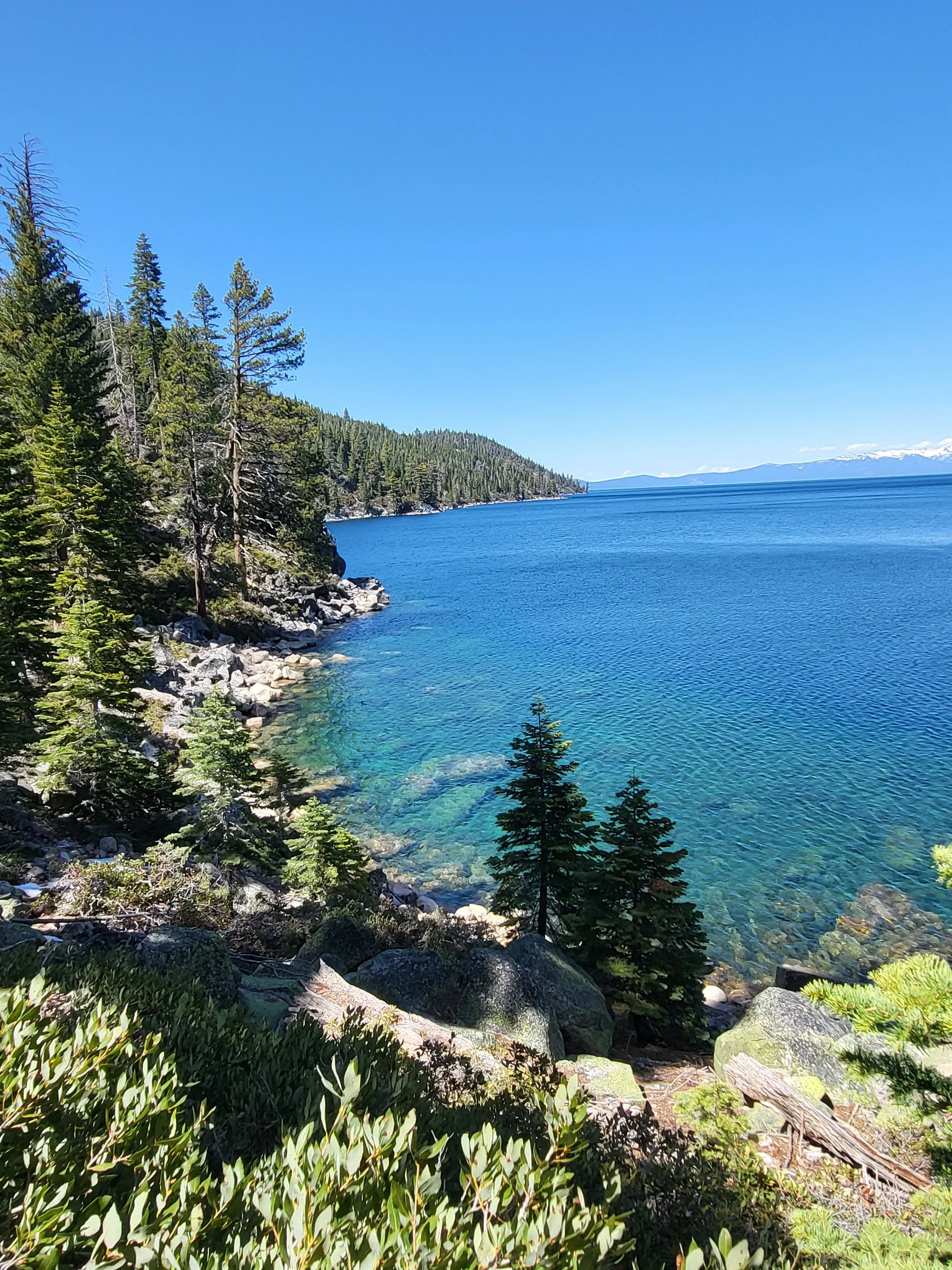 Clear blue lake surrounded by pine trees and rocky shoreline under bright blue sky with distant snow-capped mountains.