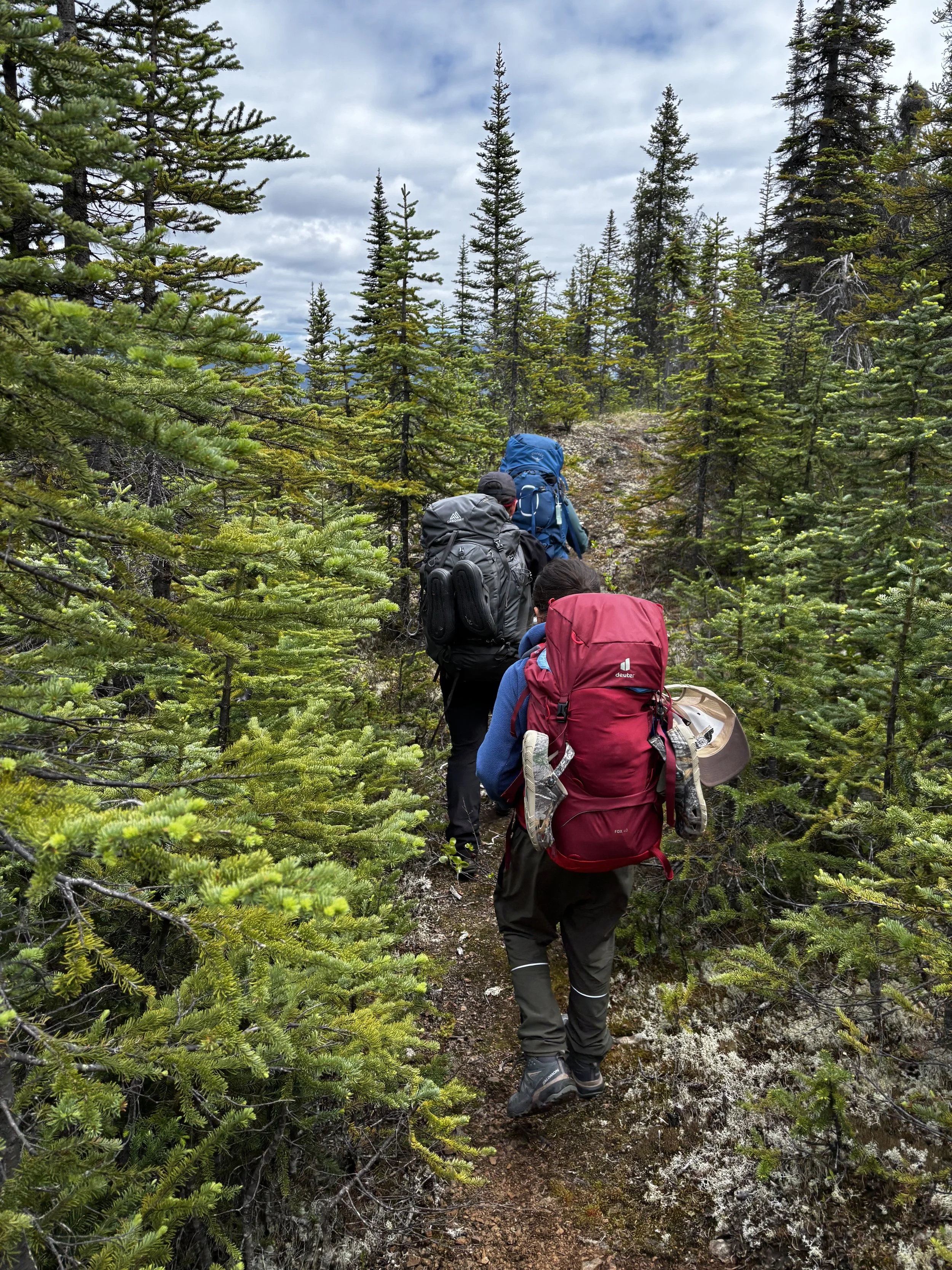 hike 2.jpg