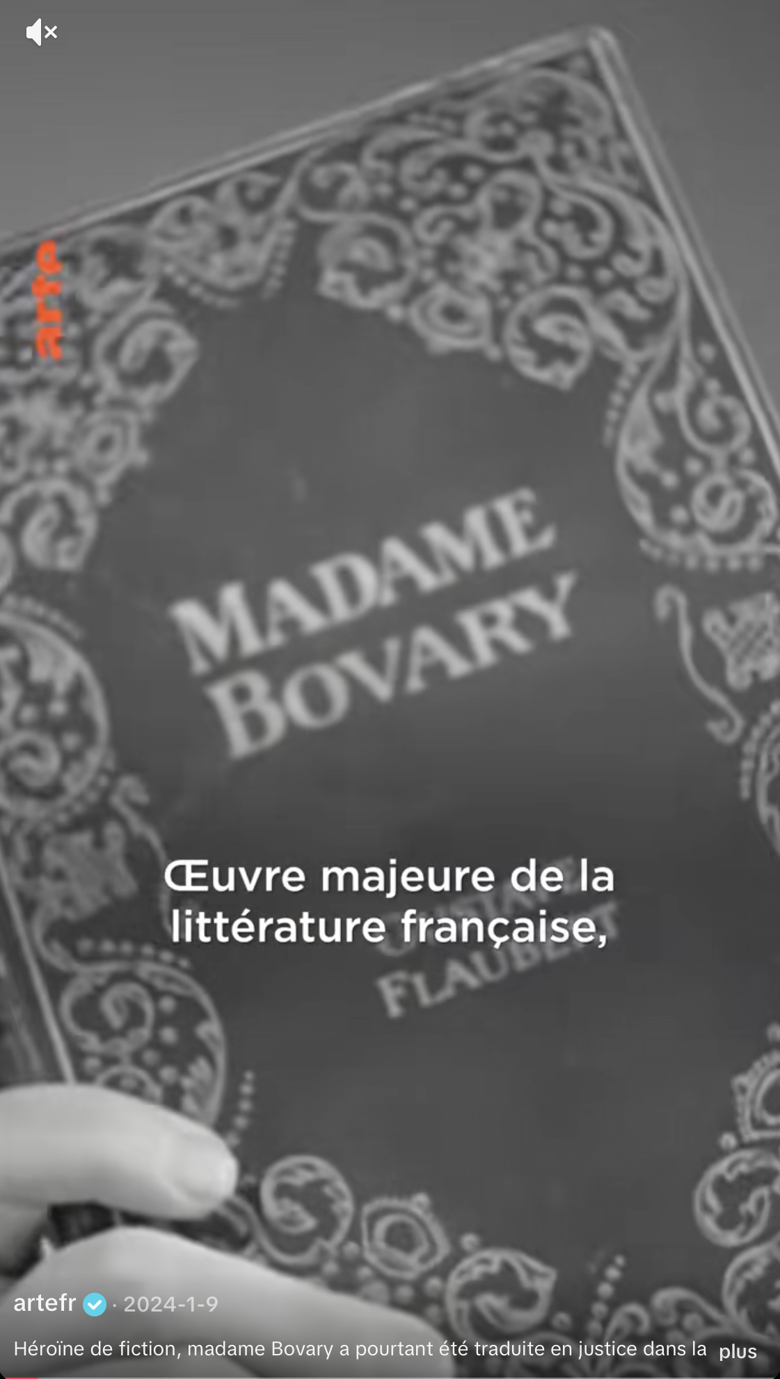 Documentaire 'Madame Bovary' diffusé par ARTE France. Couverture du livre Madame Bovary avec le titre et un design ornemental autour, écrit en français.