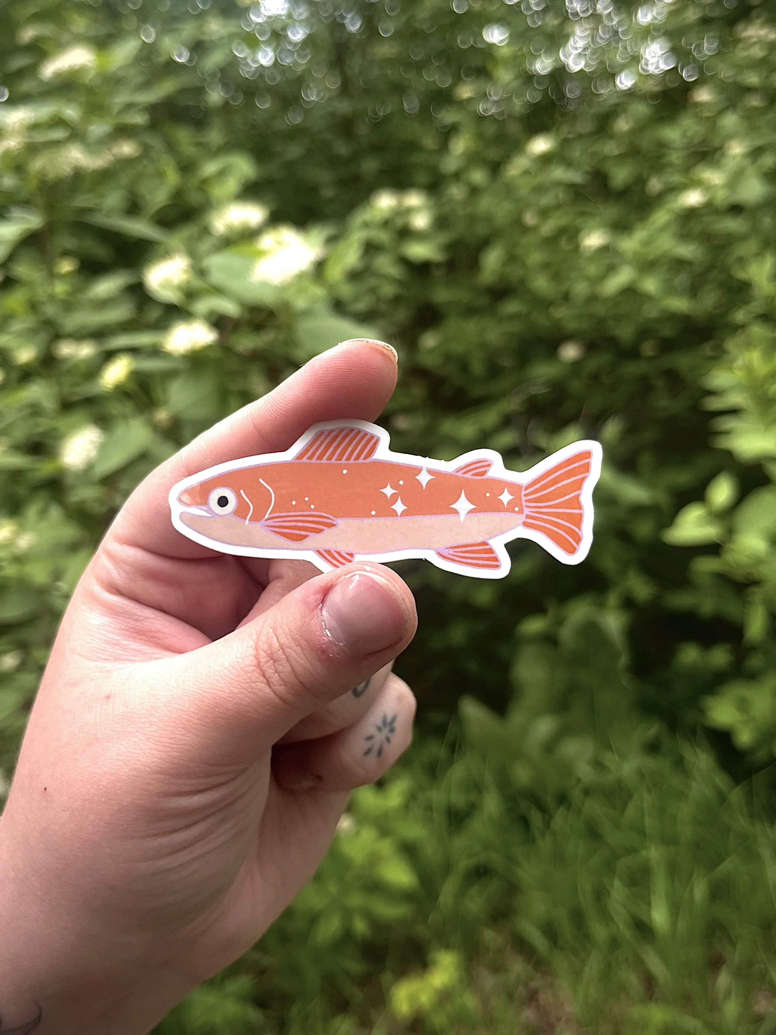 Tangerine Fish Sticker