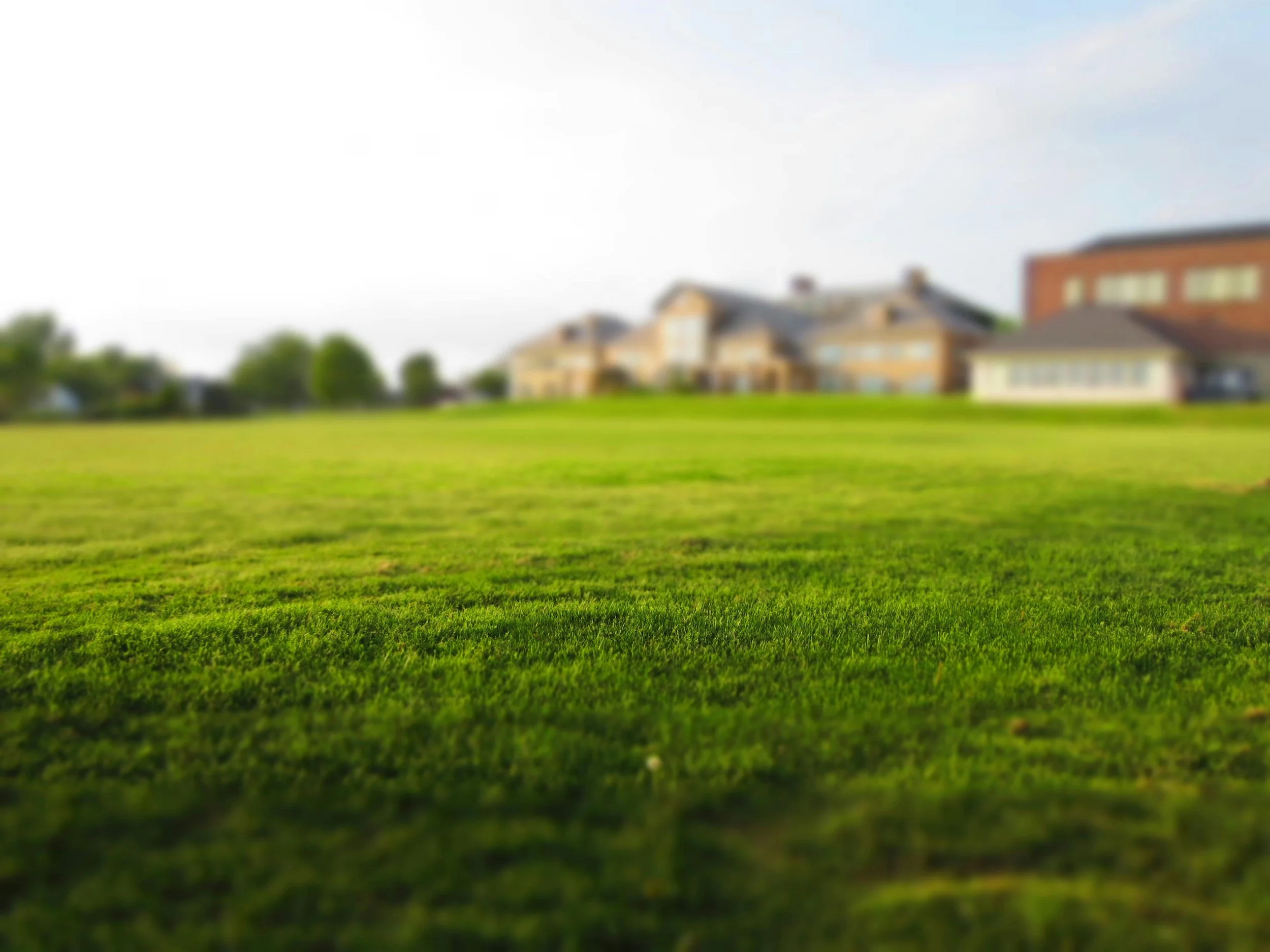 Spring Rush Is Coming: 7 Financial Mistakes Landscaping Businesses Make Before Peak Season