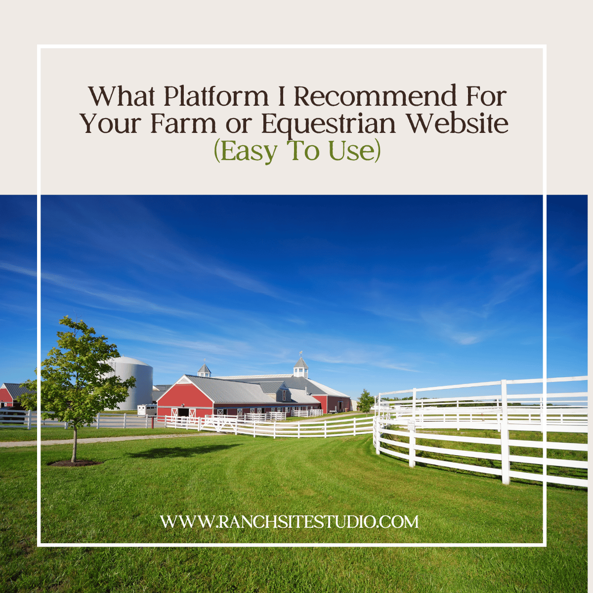 website platform squarespace equestrian farms