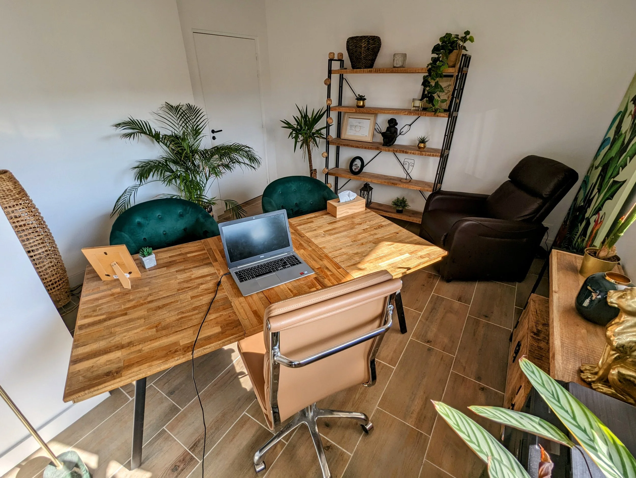 Un bureau avec une table en bois, une chaise de bureau beige, deux chaises vertes, un fauteuil en cuir noir, une étagère en métal et bois avec des décorations, des plantes vertes, un ordinateur portable, une boîte à mouchoirs, et des décorations comme une sculpture de chien en or et un tableau