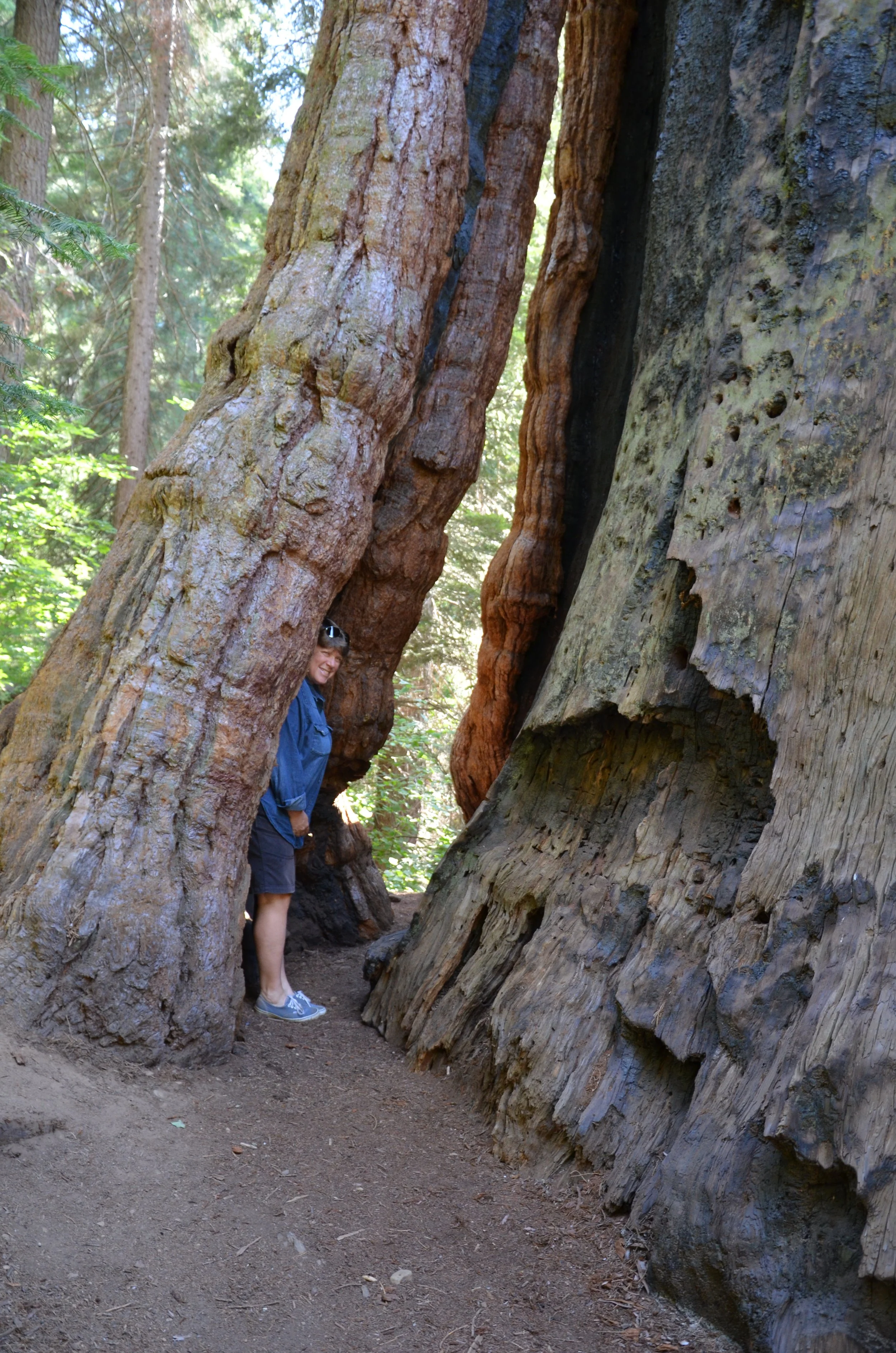 DSC_2608.JPG