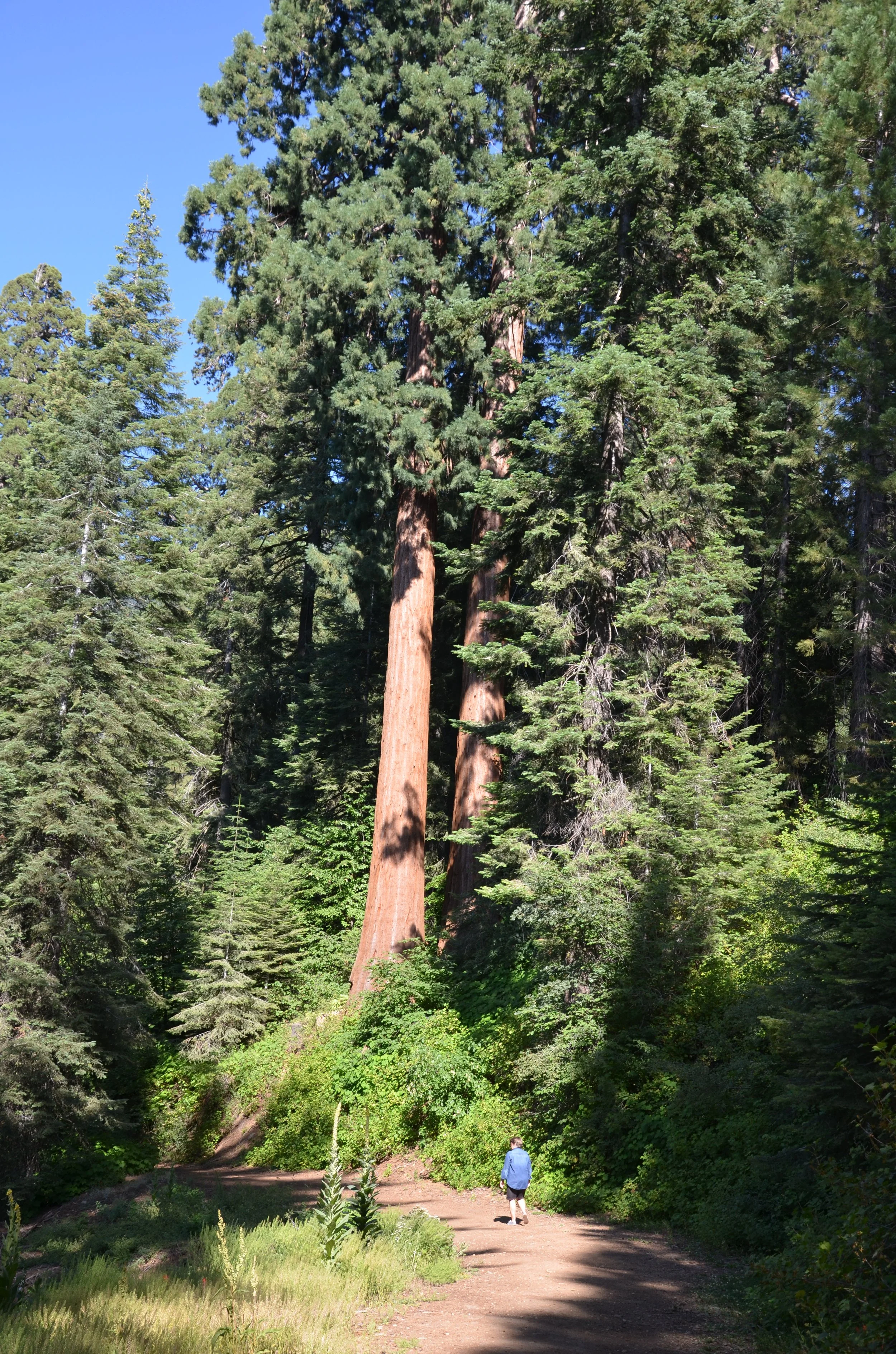 DSC_2601.JPG