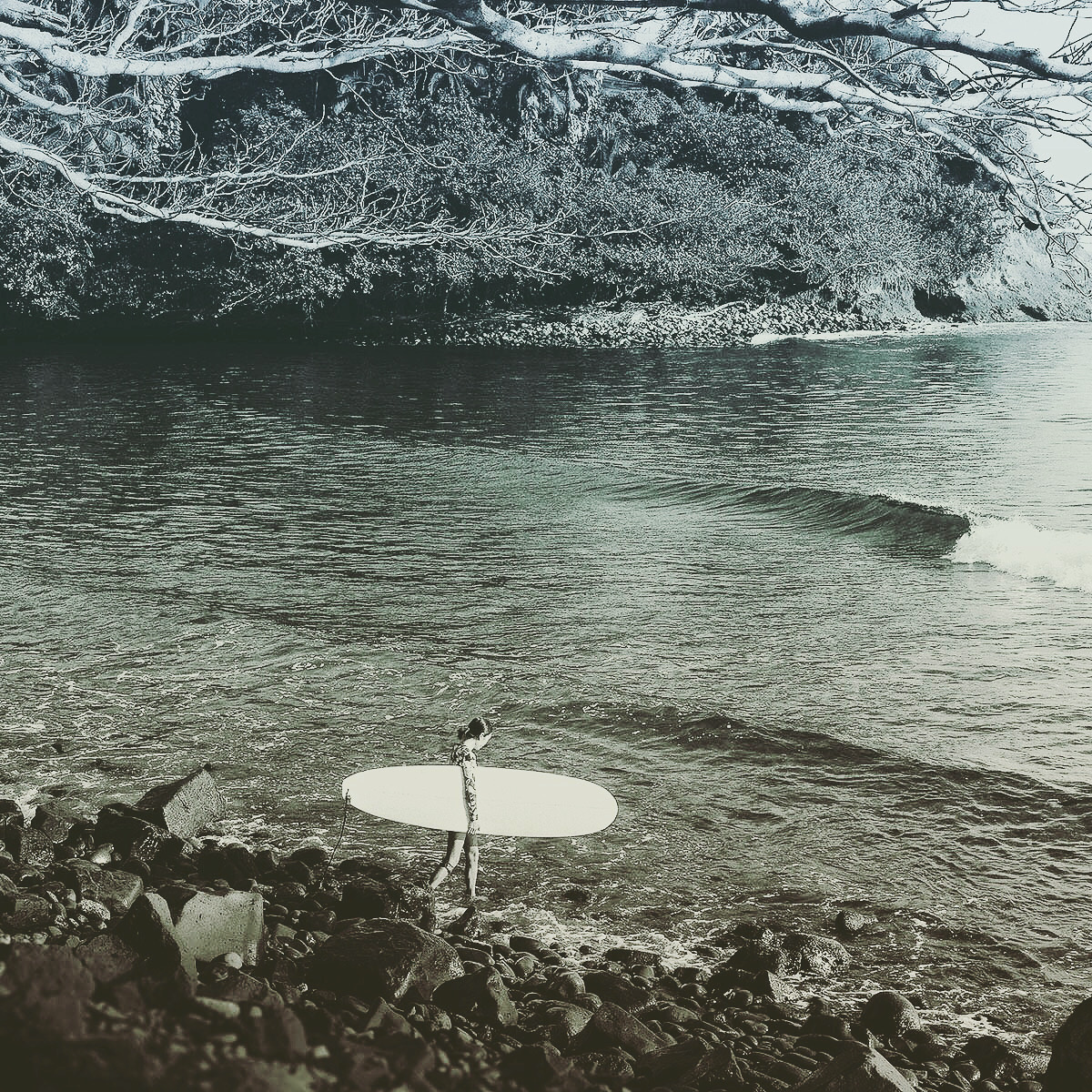 0F047416-C078-482A-8DB6-532E1B110844 (1).png