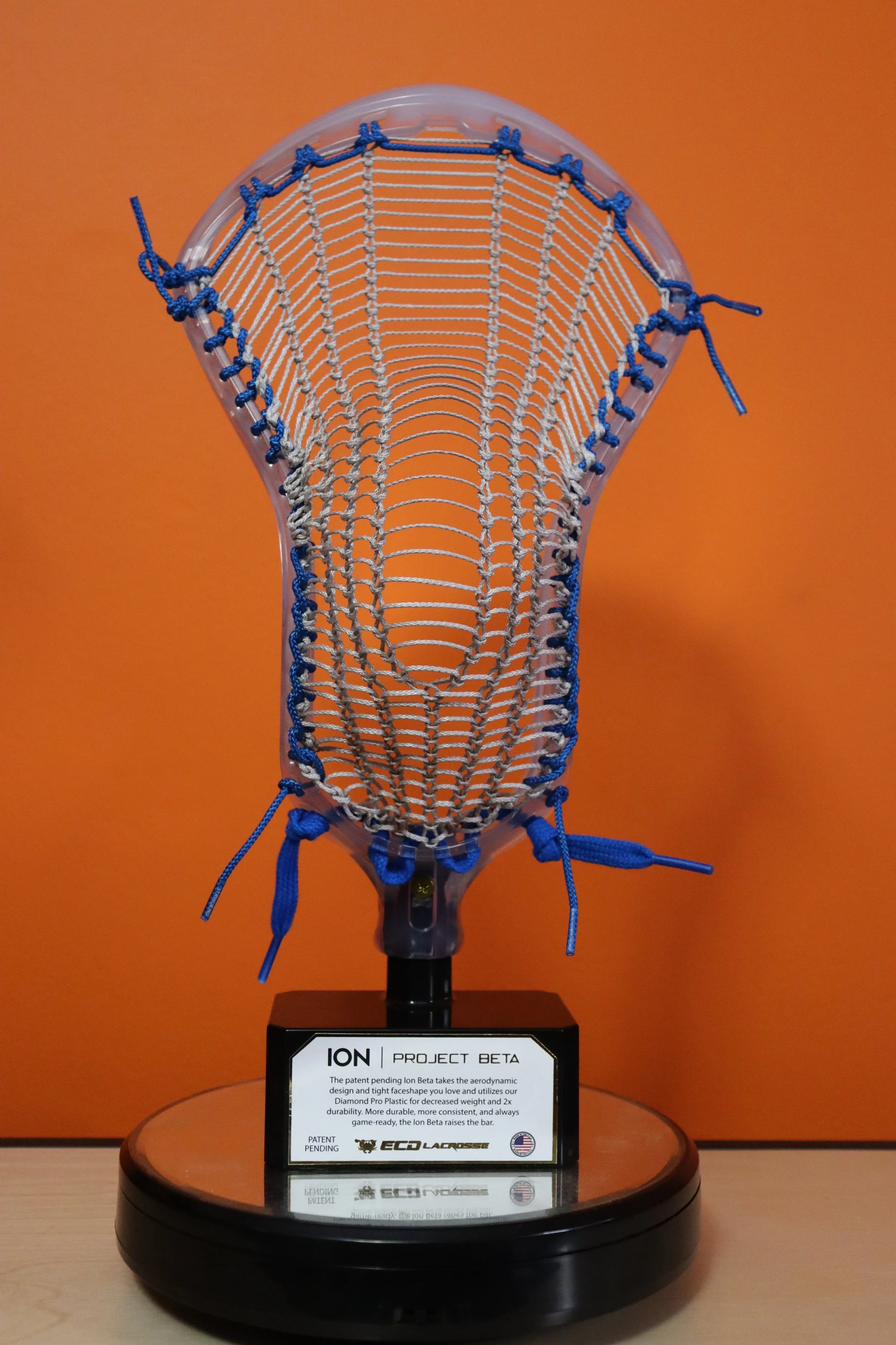 Ion Project Beta3.JPG