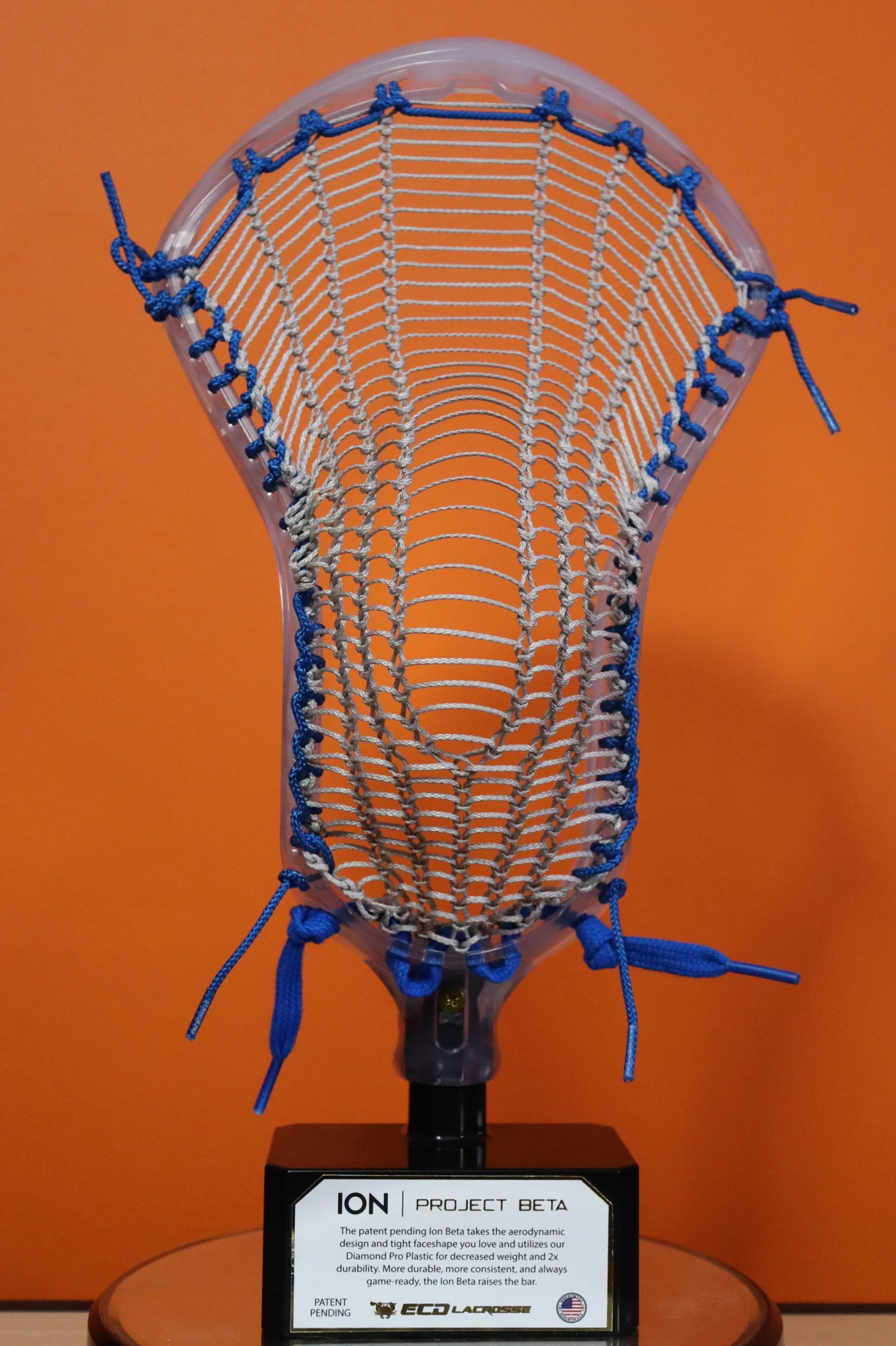 Ion Project Beta3.JPG