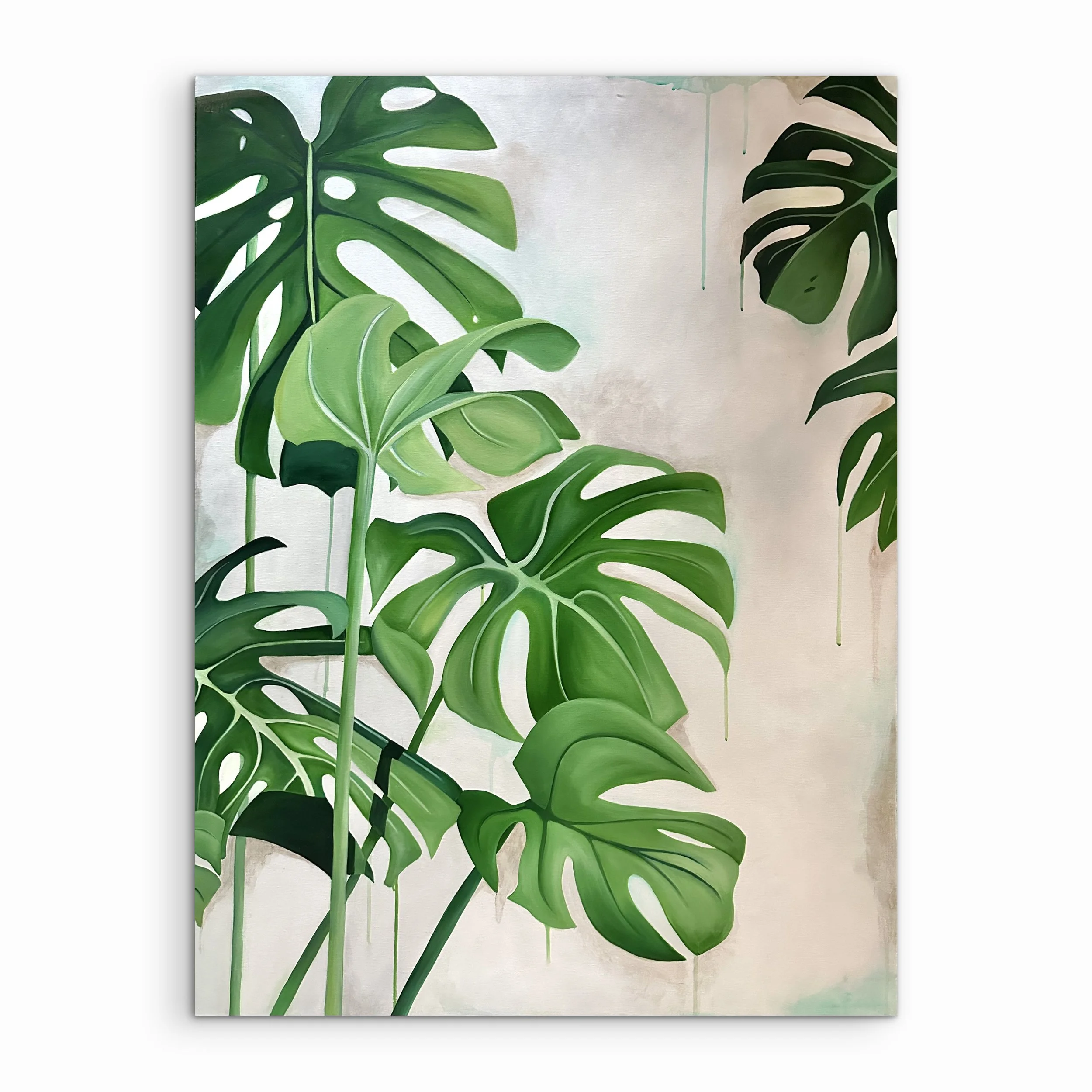Monstera's Delight