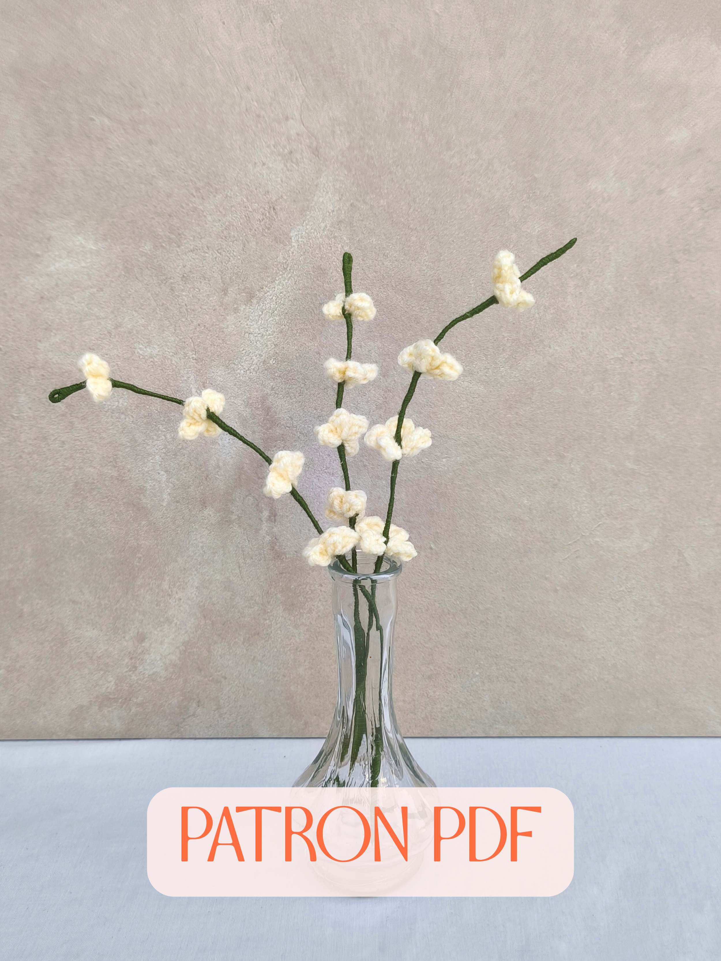 La tige de Sisyrinchium ( Guide PDF)