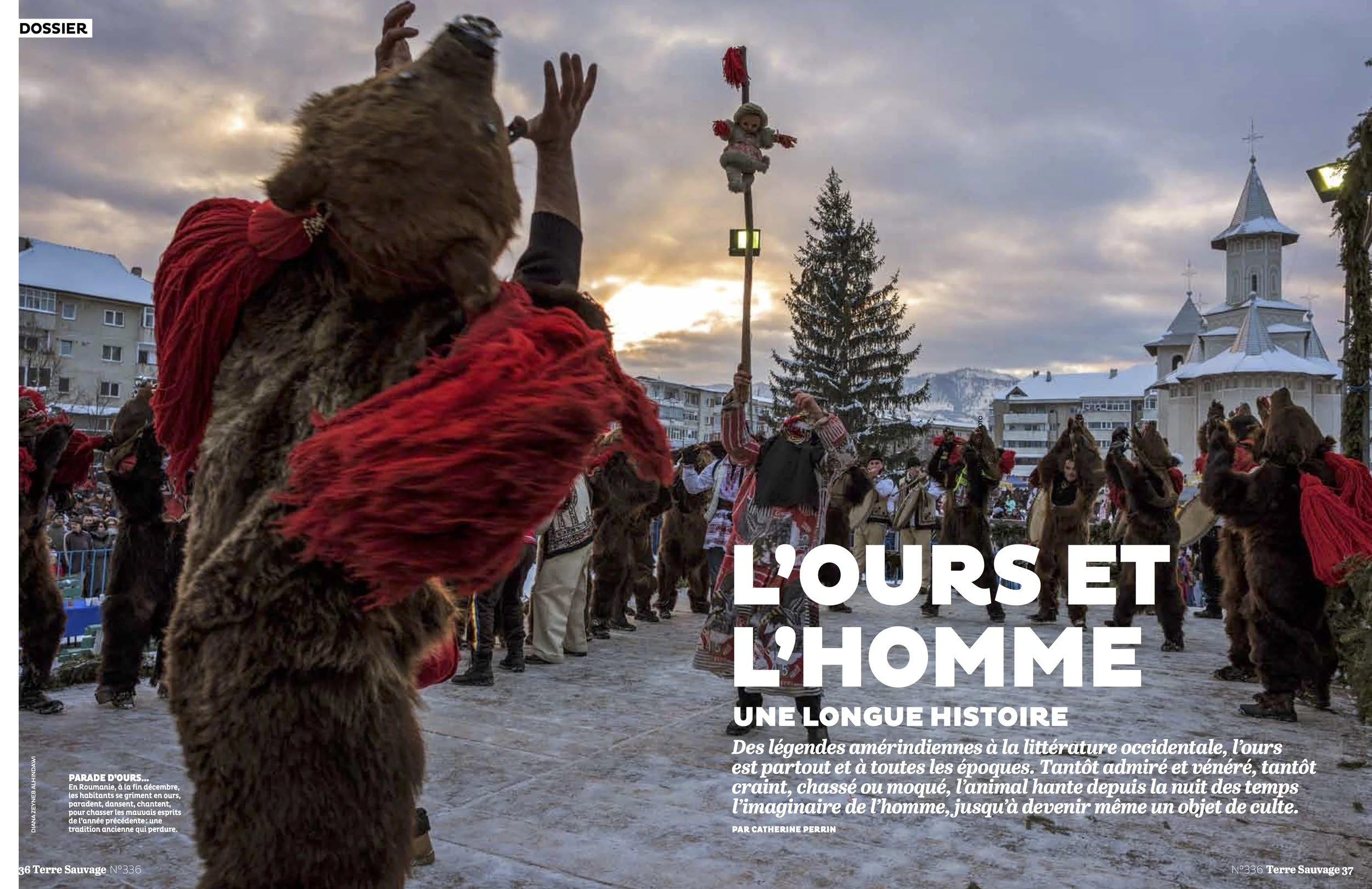 L'ours et l'homme | Terre Sauvage, No. 336, page 36-37, Jan 2017