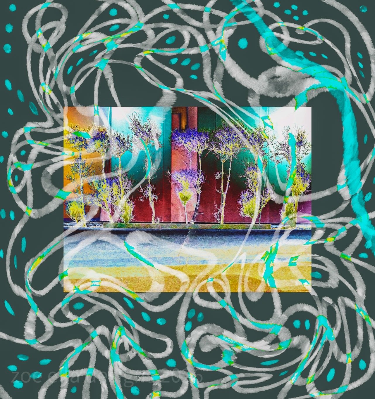 DFC0708A-5275-4208-9D85-0704D692DBE0.JPEG