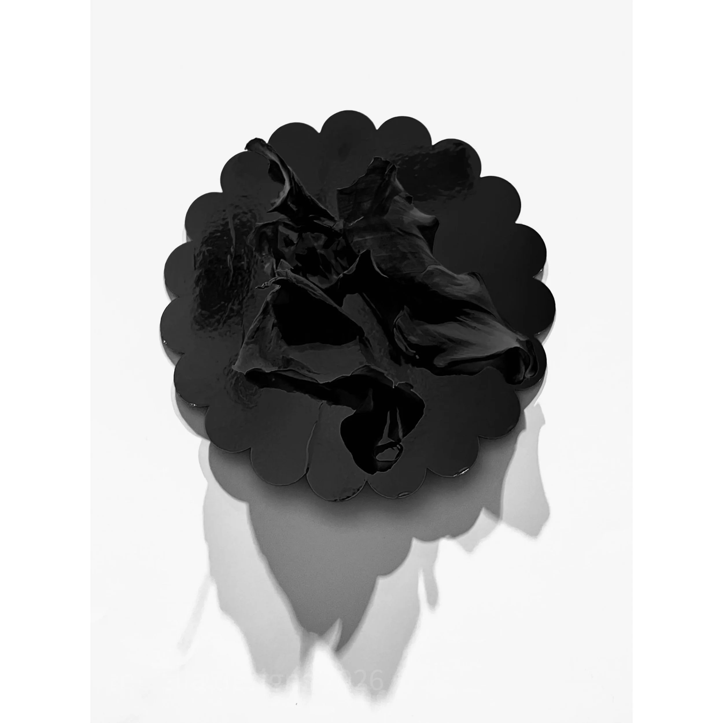 BFBA98CF-EDED-48CB-A5F0-400D718A89E4.JPEG