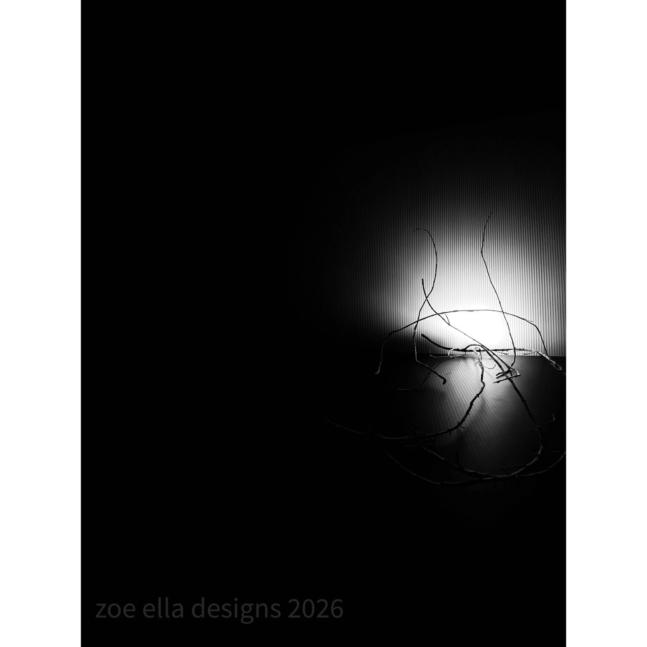 E6784B18-52FB-4333-871A-8ABA15A2CC4B.JPEG