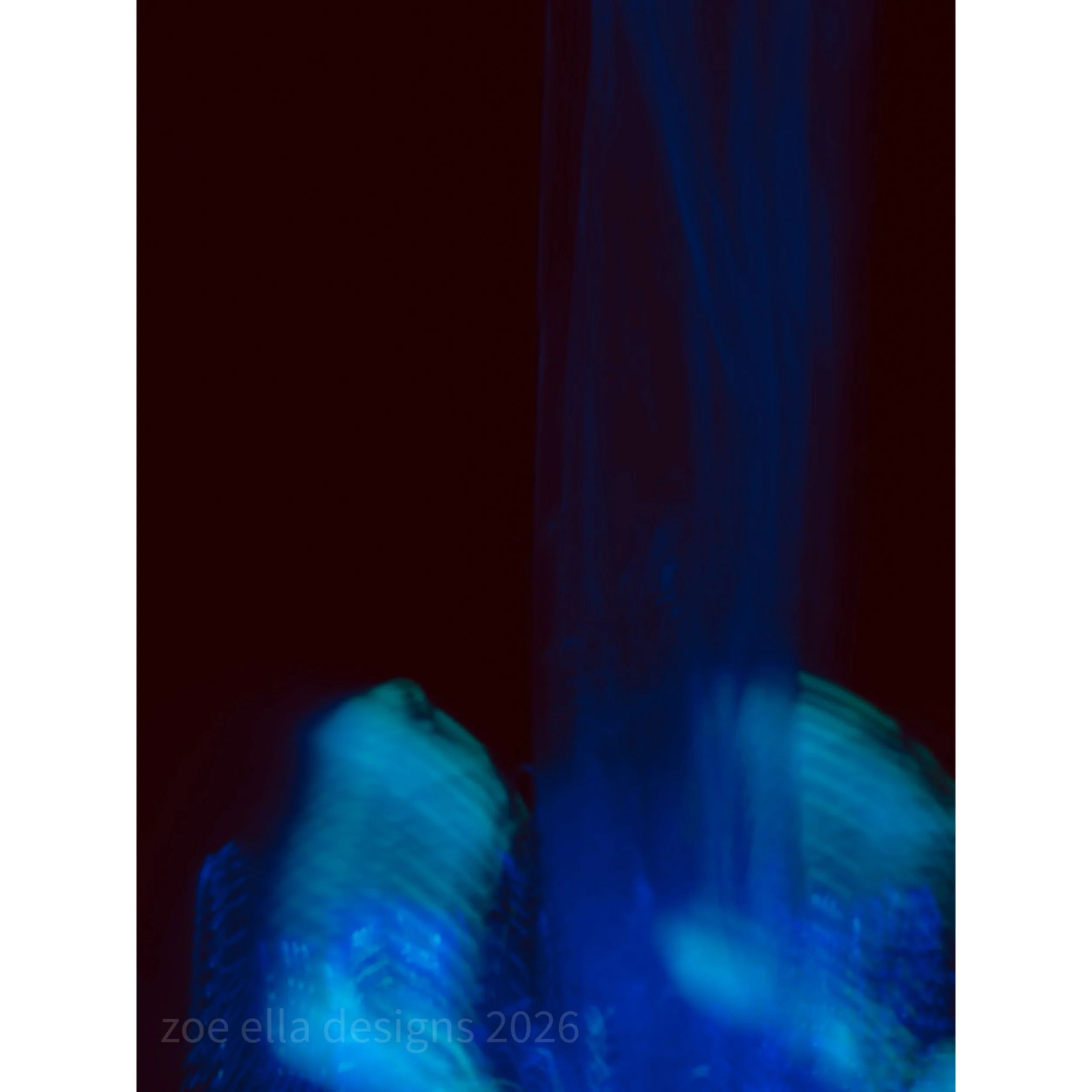 8504F3A5-4A0F-487C-A2A6-F3BFA436B4BE.JPEG