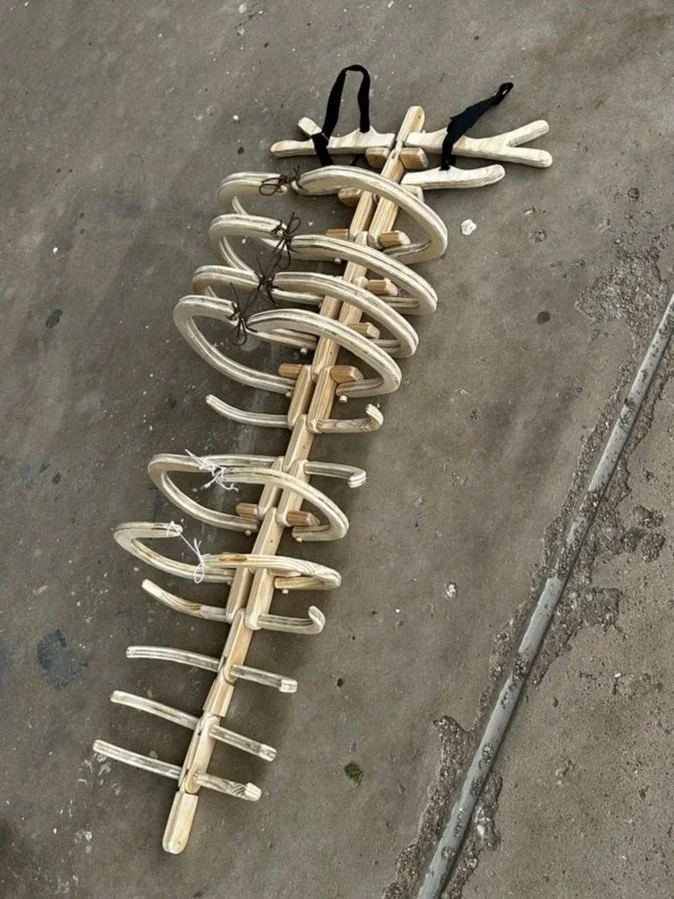 (1) Wooden Body Device
Inspired by Seahorse Anatomy 