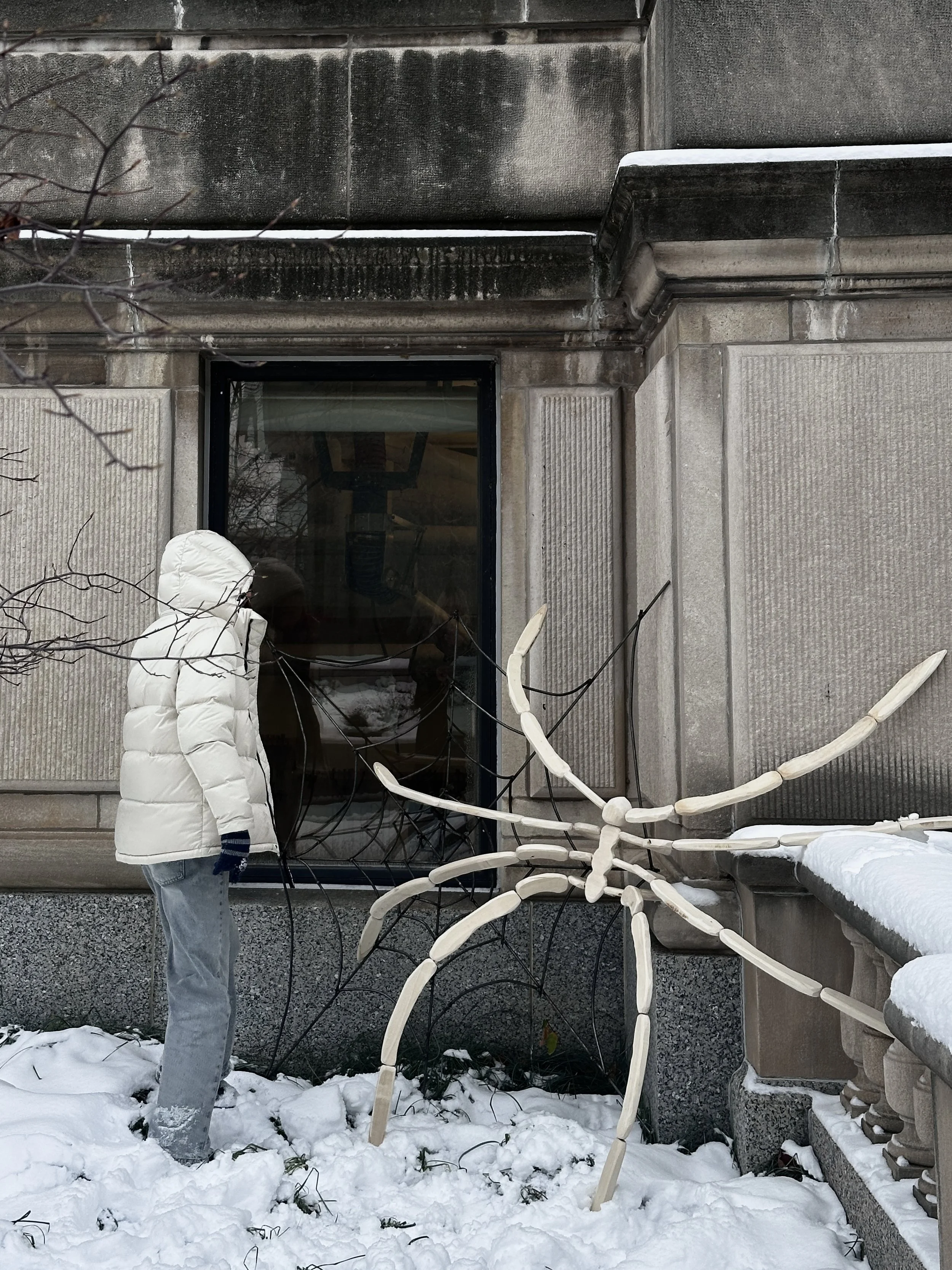 (1) Wooden Spider and Metal Web, Intersection with Architectural Site