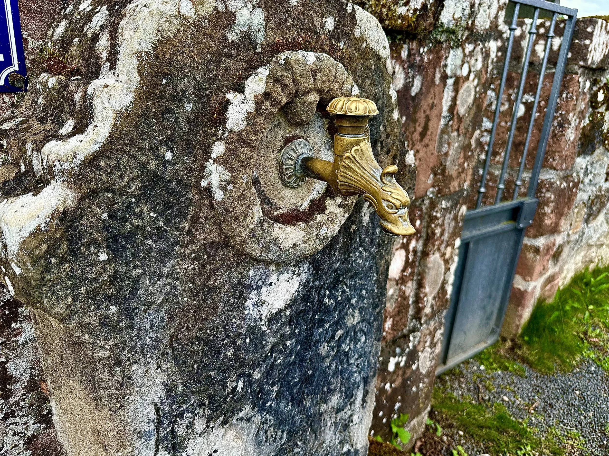 A decorative gold-colored faucet mounted on a weathered stone wall, with a brass lion head design, near a metal gate with vertical bars.