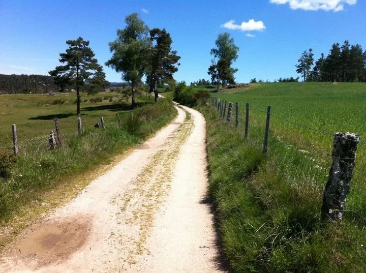 A dirt country road with grassy fields on both sides, separated by wooden fences. The road curves into the distance under a blue sky with a few clouds, with trees lining the horizon.