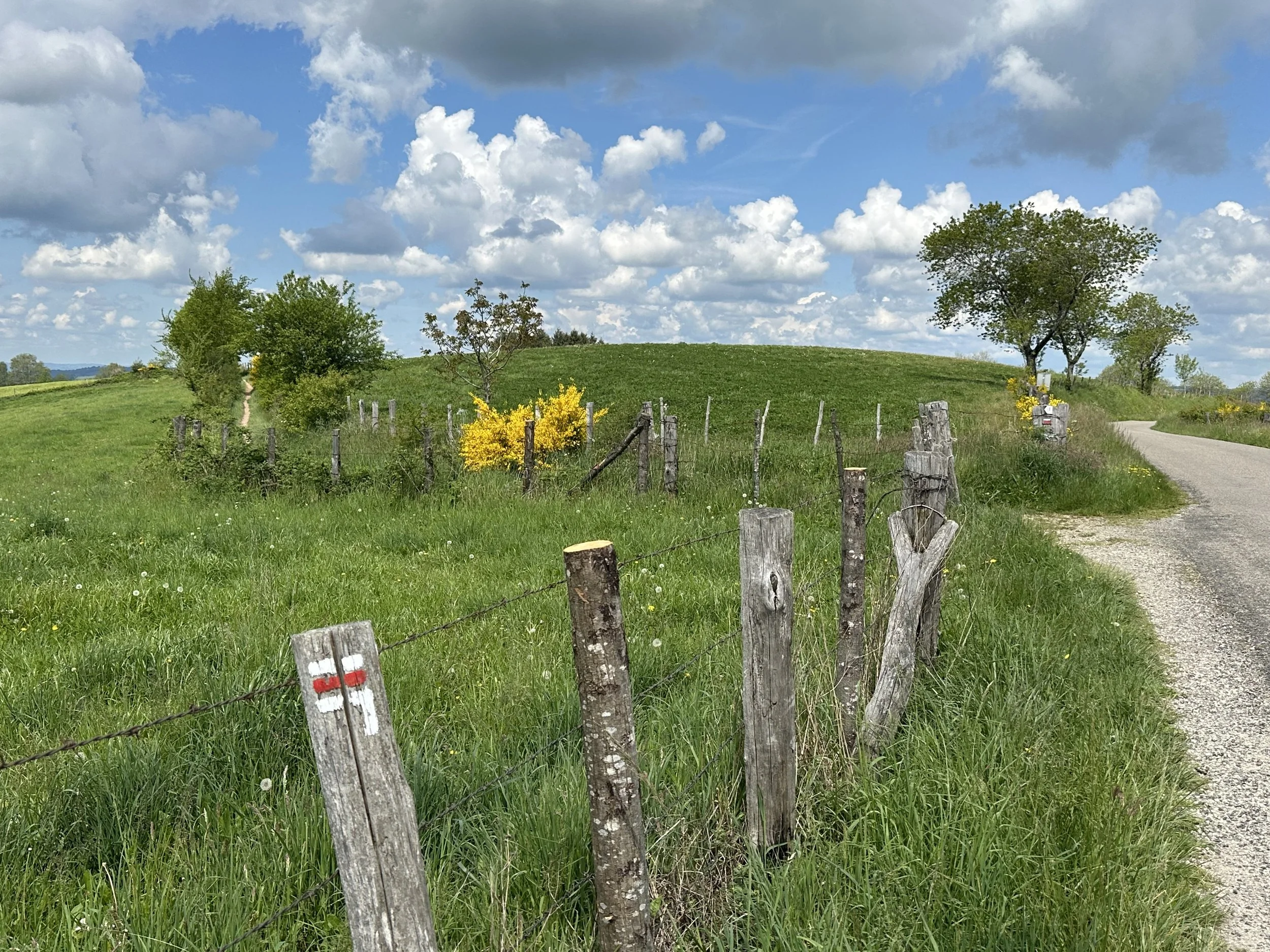 A grassy landscape with a dirt road on the right, a barbed wire fence with weathered wooden posts, some with red and white trail markers, a green hill with trees and yellow flowering bushes, and a blue sky with scattered clouds.