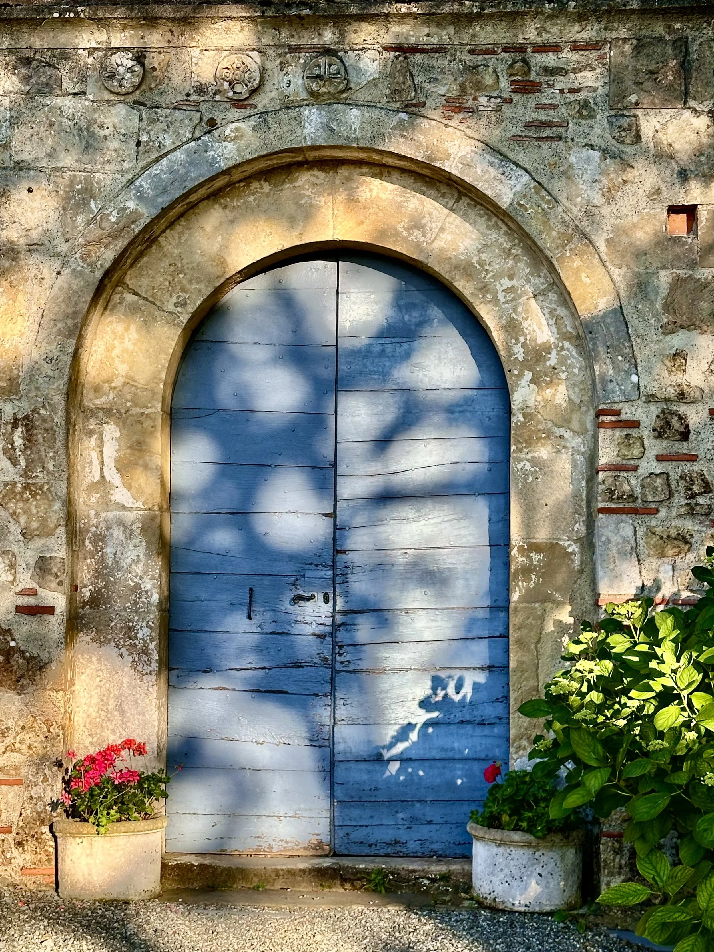 A weathered blue wooden door set in an old stone wall with decorative stonework at the top, flanked by potted plants with pink and green foliage.