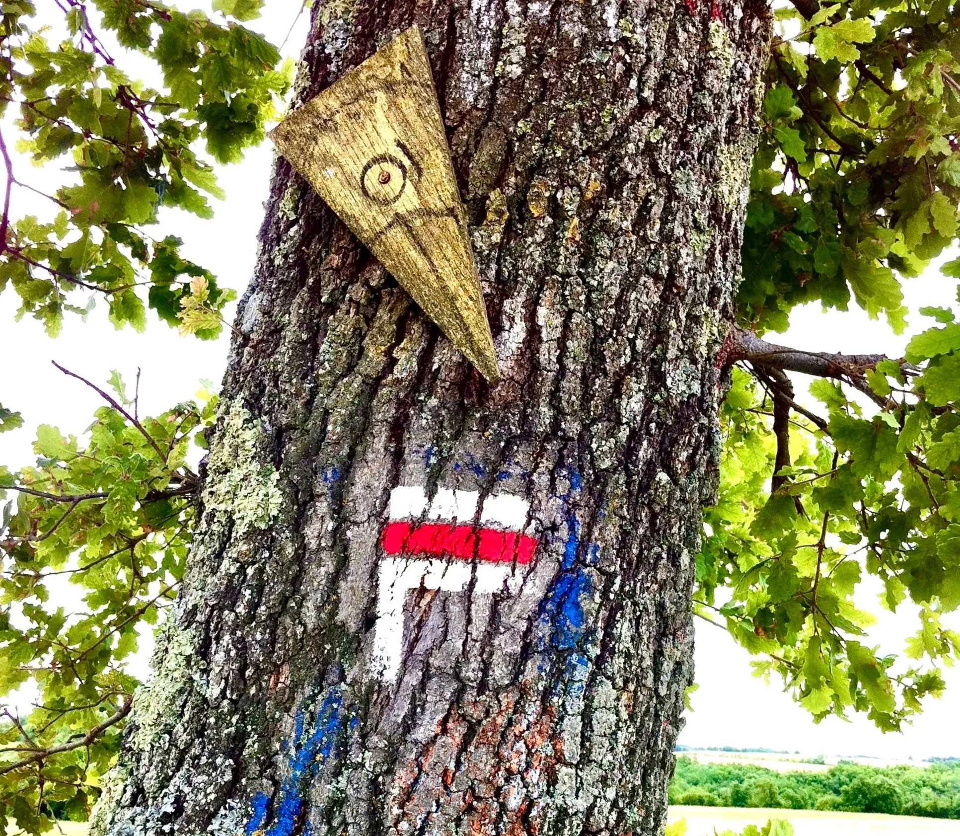 Tree trunk with painted white and red markings, a wooden face with a smiley face drawn on it, and green leaves in the background.