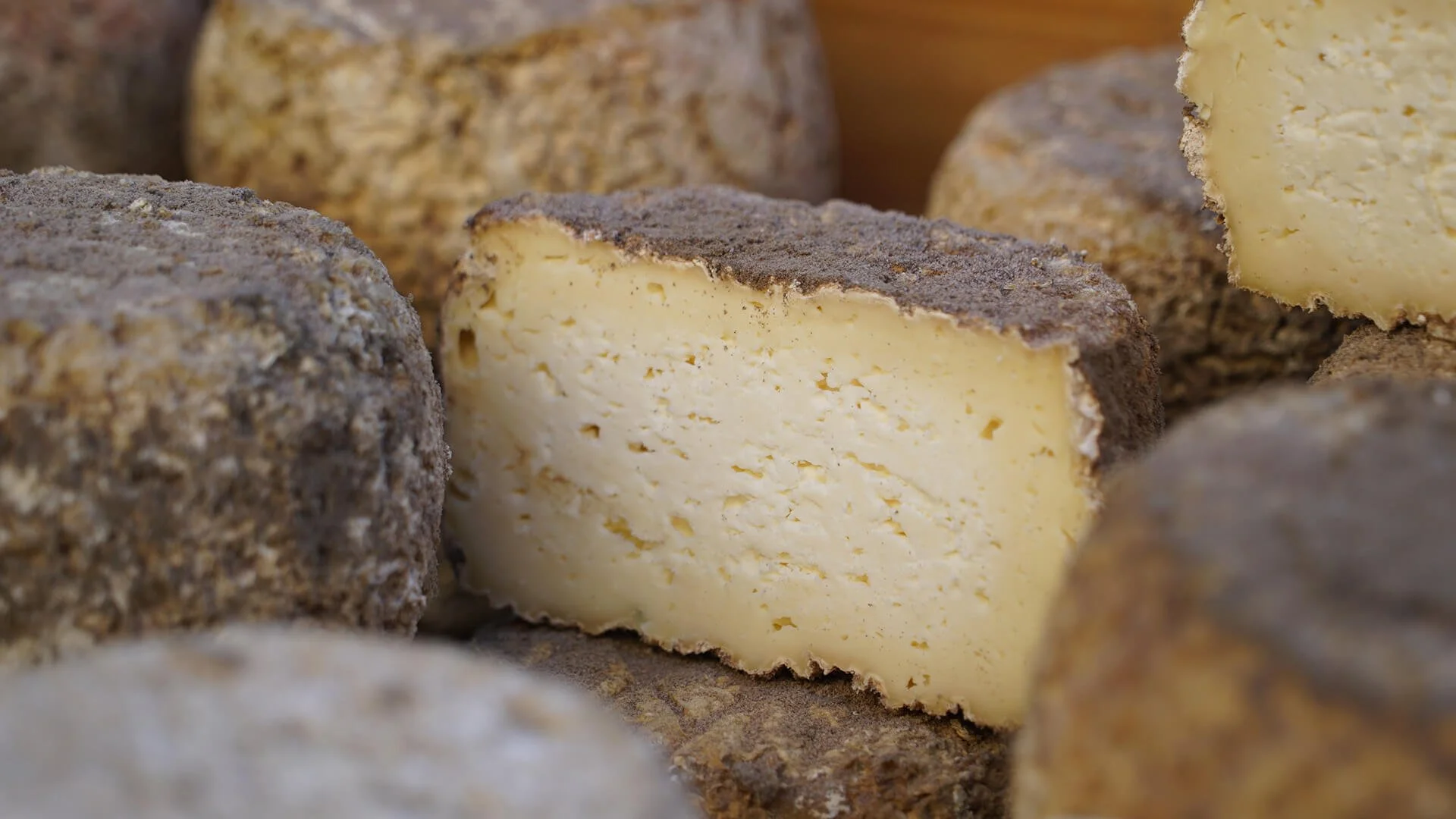 Discovert the cheeses you'll find when walking the Via Podiensis camino