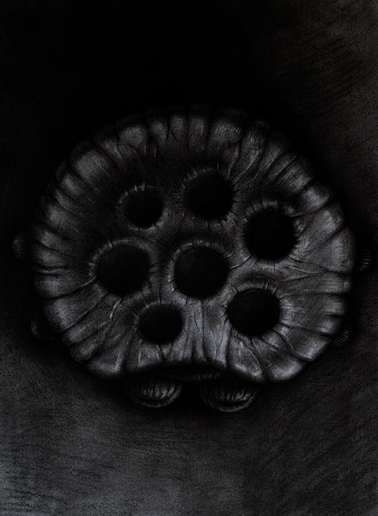 Creature 02 - Charcoal on paper 48x35cm