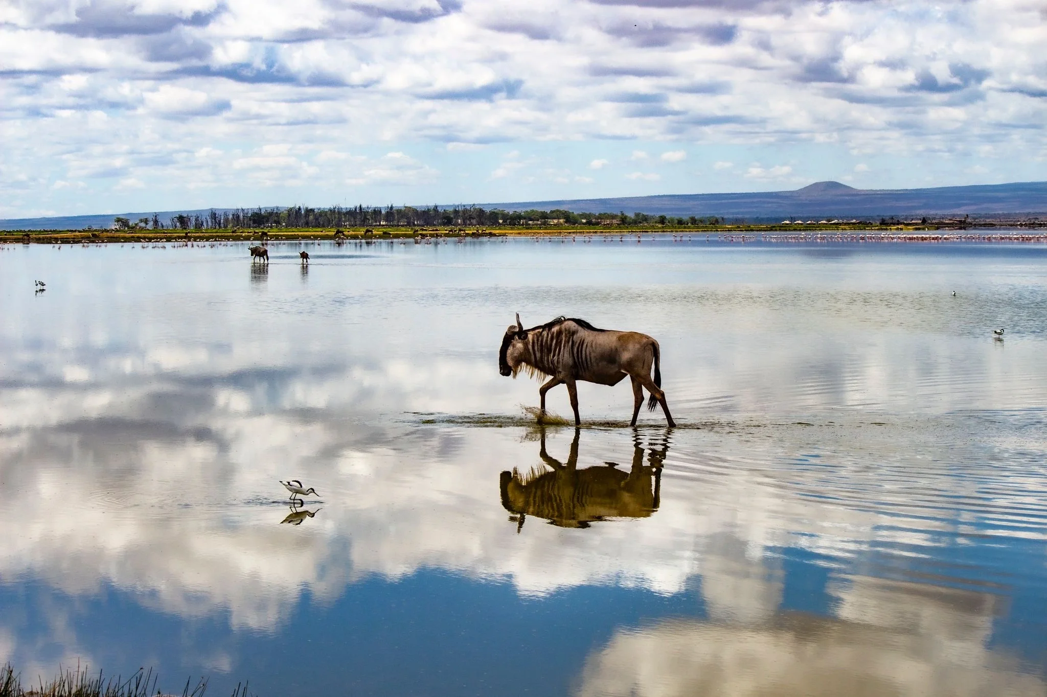 Breathe_in_the_wild_retreat_Amboseli Lake.webp