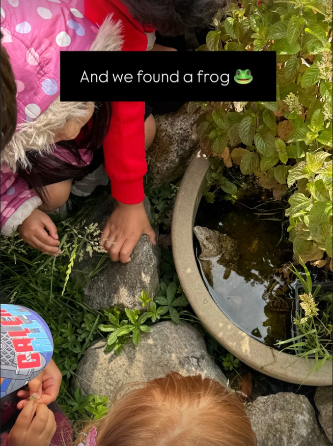 Children exploring near a pond surrounded by rocks and green plants, with a caption saying "And we found a frog" and a frog emoji.