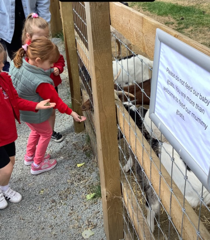 Children feeding goats at a petting zoo, with a sign requesting not to feed the baby goats.